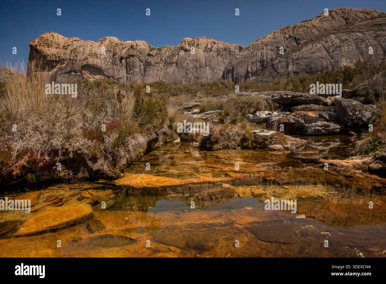 Wasserlauf und Pools in Andriampotsy, Andringitra National Park, Madagaskar. Das rote, eisenreiche Wasser im und um den Andringitra-Nationalpark ist das Ergebnis der starken Bodenerosion im zentralen Hochland Madagaskars. Der Lateritboden der Insel, der hohe Konzentrationen an Eisen enthält, wird durch starke Regenfälle in Flüsse gespült. Das Andringitra-Massiv ist ein markantes Bergmassiv und hat steile Hänge und Kanäle, die von Regenfällen durchzogen werden und den Erosion beschleunigen. Stockfoto