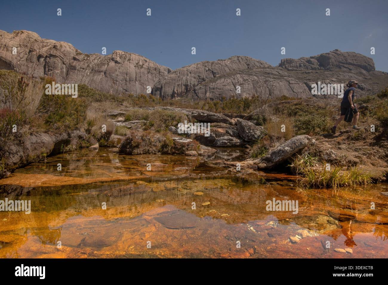Wasserlauf und Pools in Andriampotsy, Andringitra National Park, Madagaskar. Das rote, eisenreiche Wasser im und um den Andringitra-Nationalpark ist das Ergebnis der starken Bodenerosion im zentralen Hochland Madagaskars. Der Lateritboden der Insel, der hohe Konzentrationen an Eisen enthält, wird durch starke Regenfälle in Flüsse gespült. Das Andringitra-Massiv ist ein markantes Bergmassiv und hat steile Hänge und Kanäle, die von Regenfällen durchzogen werden und den Erosion beschleunigen. Stockfoto