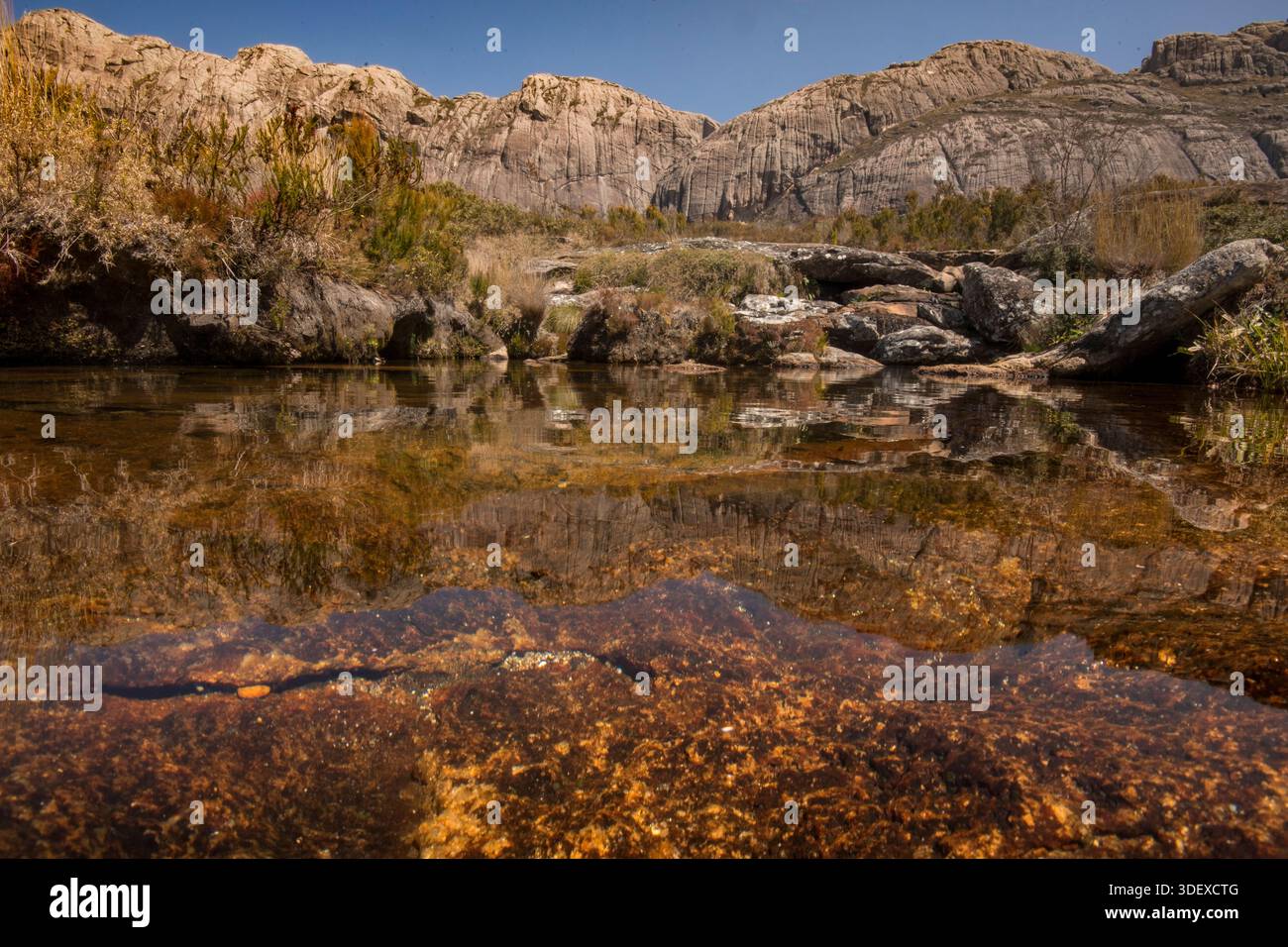 Wasserlauf und Pools in Andriampotsy, Andringitra National Park, Madagaskar. Das rote, eisenreiche Wasser im und um den Andringitra-Nationalpark ist das Ergebnis der starken Bodenerosion im zentralen Hochland Madagaskars. Der Lateritboden der Insel, der hohe Konzentrationen an Eisen enthält, wird durch starke Regenfälle in Flüsse gespült. Das Andringitra-Massiv ist ein markantes Bergmassiv und hat steile Hänge und Kanäle, die von Regenfällen durchzogen werden und den Erosion beschleunigen. Stockfoto