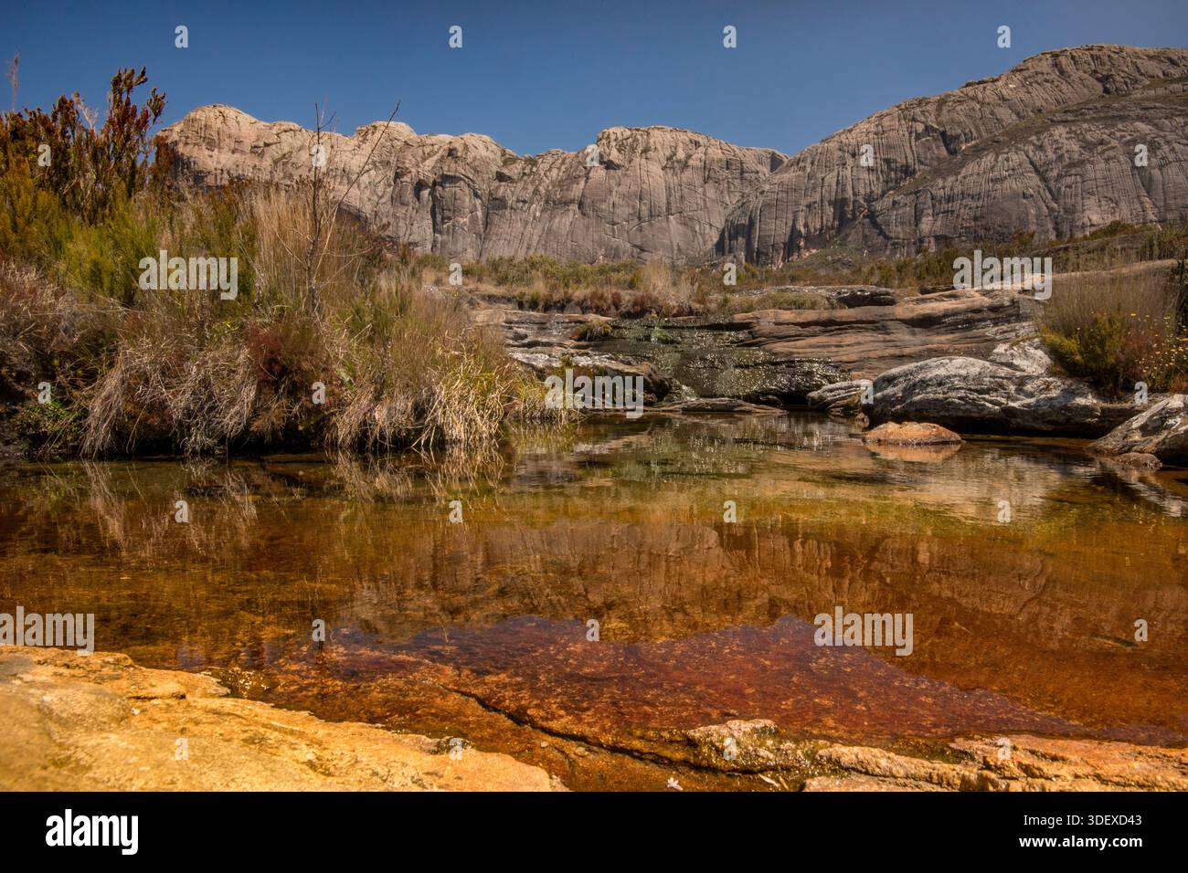 Wasserlauf und Pools in Andriampotsy, Andringitra National Park, Madagaskar. Das rote, eisenreiche Wasser im und um den Andringitra-Nationalpark ist das Ergebnis der starken Bodenerosion im zentralen Hochland Madagaskars. Der Lateritboden der Insel, der hohe Konzentrationen an Eisen enthält, wird durch starke Regenfälle in Flüsse gespült. Das Andringitra-Massiv ist ein markantes Bergmassiv und hat steile Hänge und Kanäle, die von Regenfällen durchzogen werden und den Erosion beschleunigen. Stockfoto