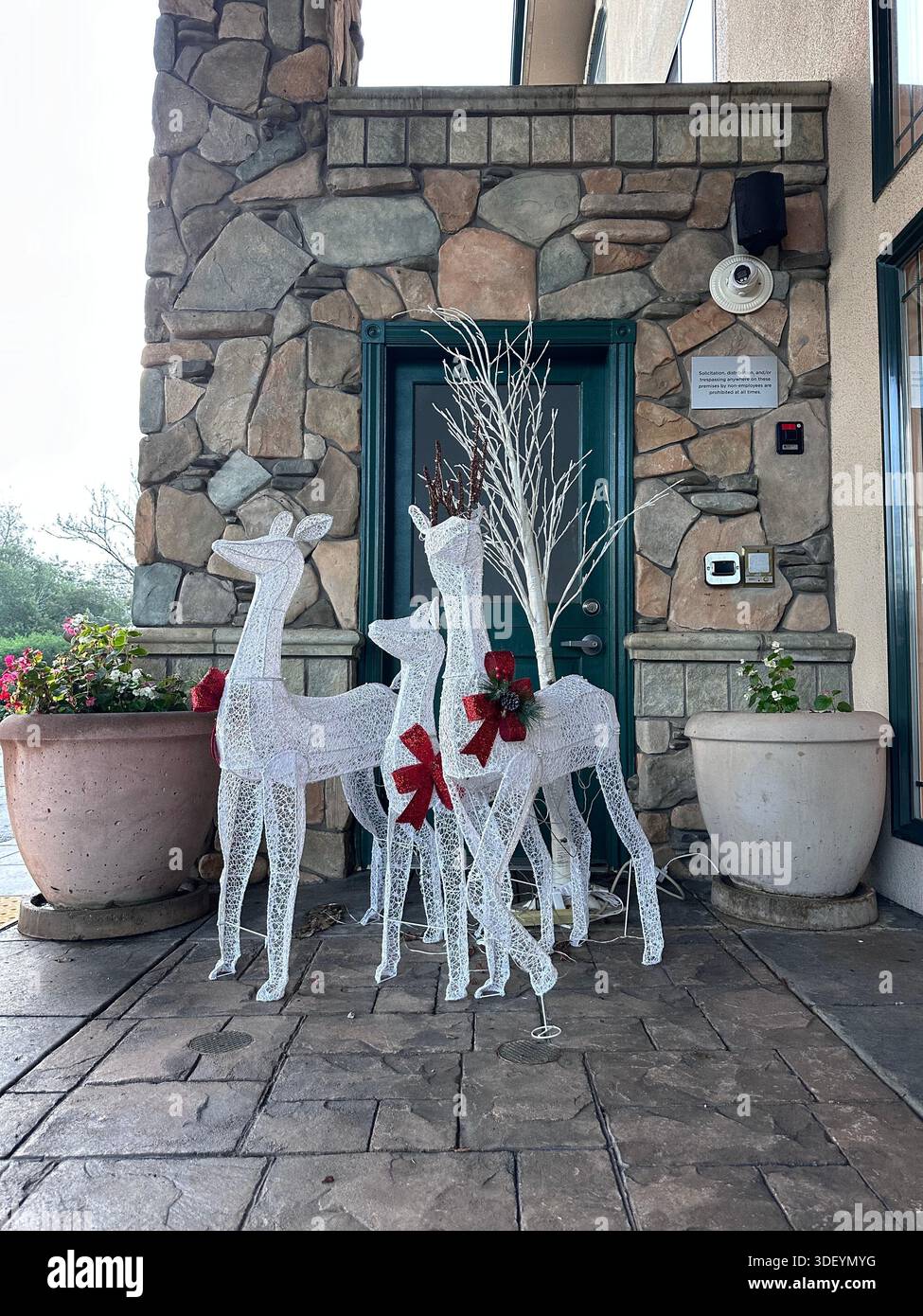 Weihnachtsdekoration im Freien am Eingang des Luxury Hotels - Smartphone-aufgenommenes Stockfoto