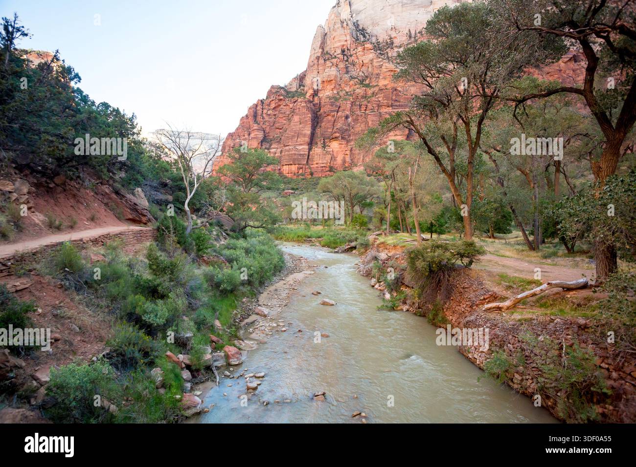 Der Virgin River in der Nähe der Grotto and West Rim Trail im Zion National Park, Utah Stockfoto
