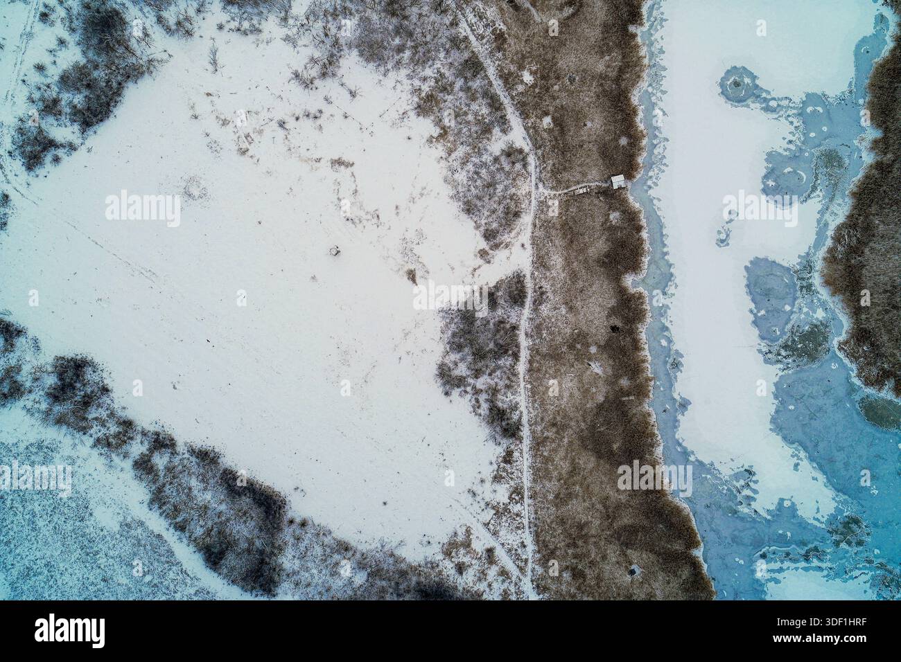 Die Luft der Winterlandschaft fängt den Übergang zwischen einem unberührten schneebedeckten Feld und einem gefrorenen blauen See ein, der durch einen rostigen Gürtel aus trockenem Schilf getrennt wird. Die Komposition bietet ausreichend Platz für saisonale Nachrichten oder Umgebungstexte. Stockfoto