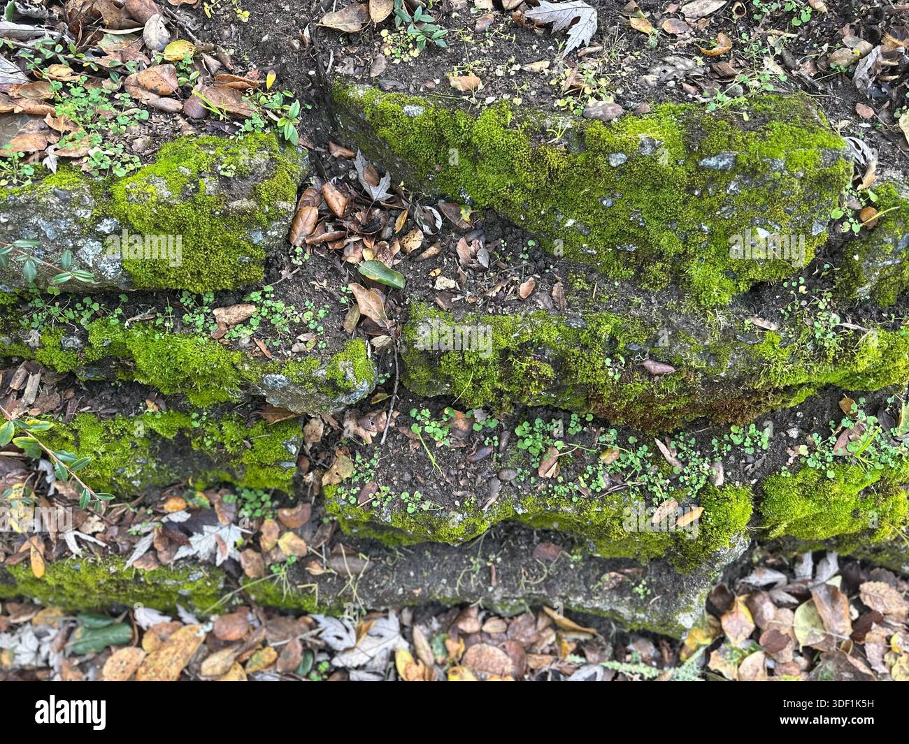 Moosbedeckte Steinstufen und verwitterte Felsstruktur Stockfoto