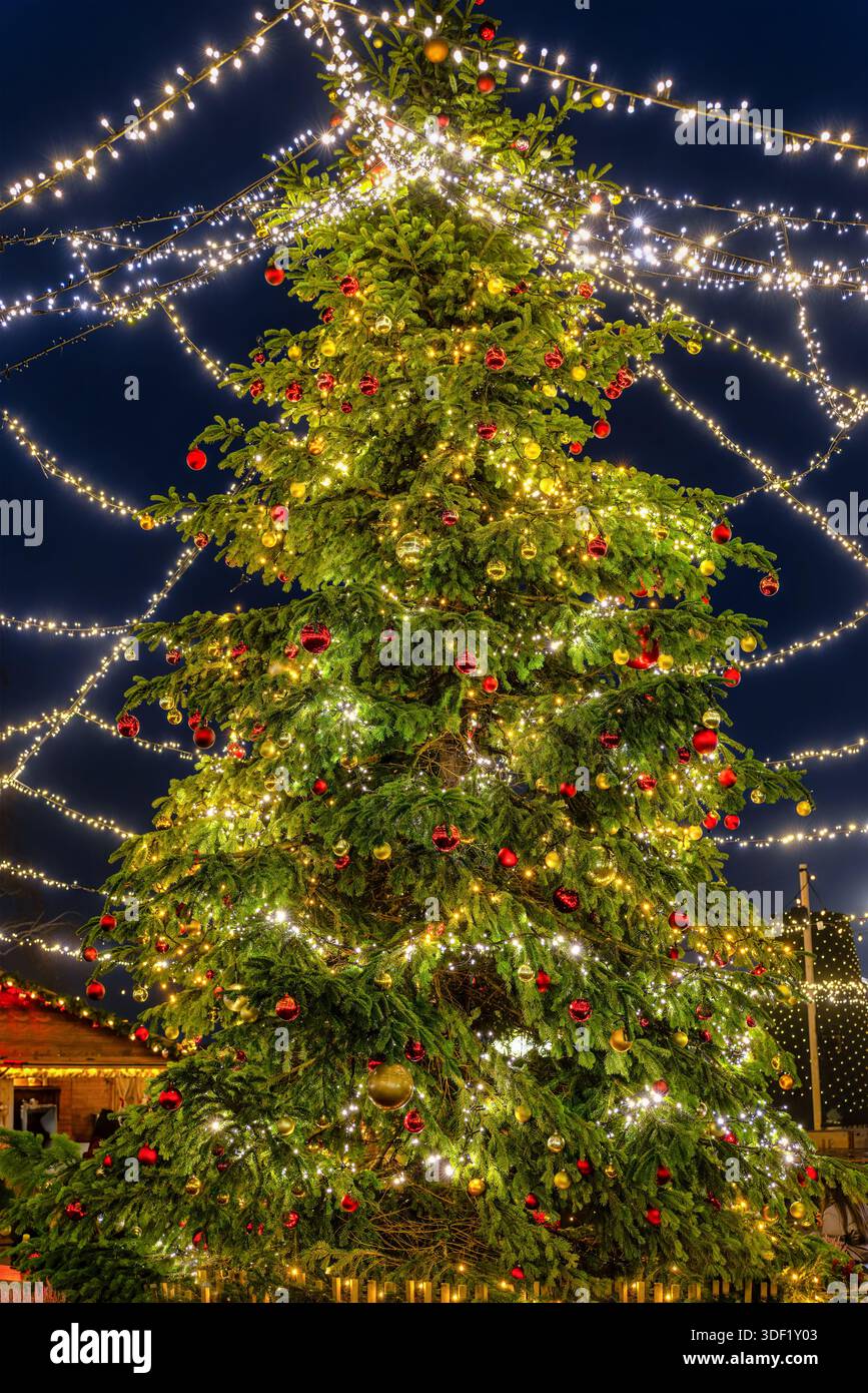 Ein wunderschön geschmückter Weihnachtsbaum auf einem Markt für die festliche Adventszeit in Genf, Schweiz, mit Feenlichtern Stockfoto
