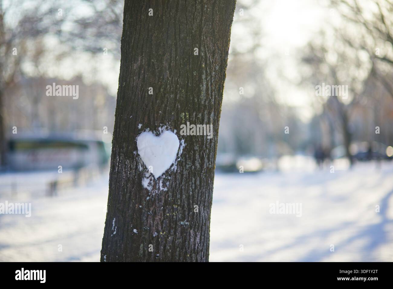 Nahaufnahme einer weißen Herzform aus Schnee, die an einem Baumstamm in einem verschneiten Pariser Park befestigt ist. Sanftes Winterlicht und romantische Atmosphäre. Stockfoto