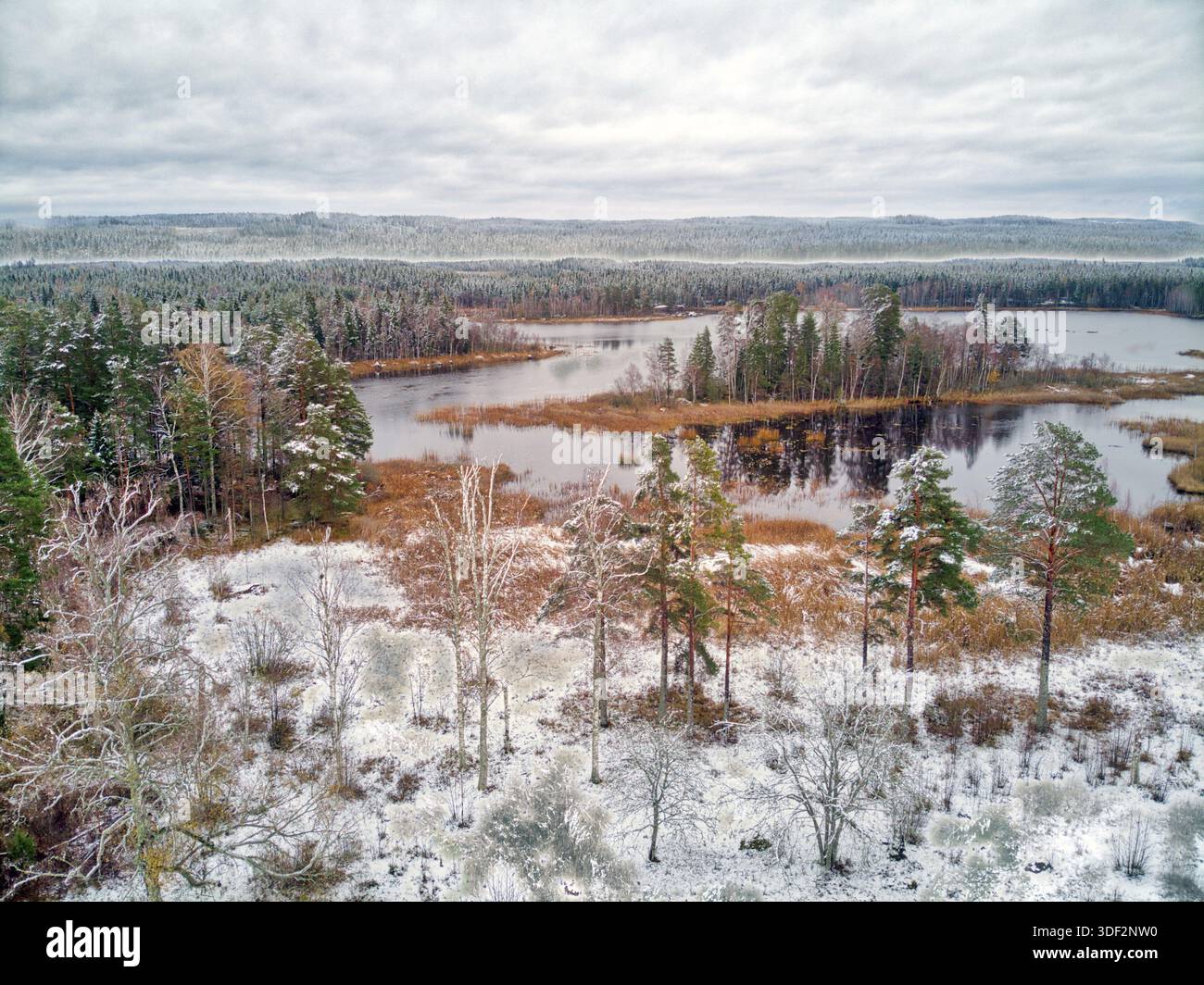 Erster Schnee in einer teilweise verschneiten Landschaft Stockfoto