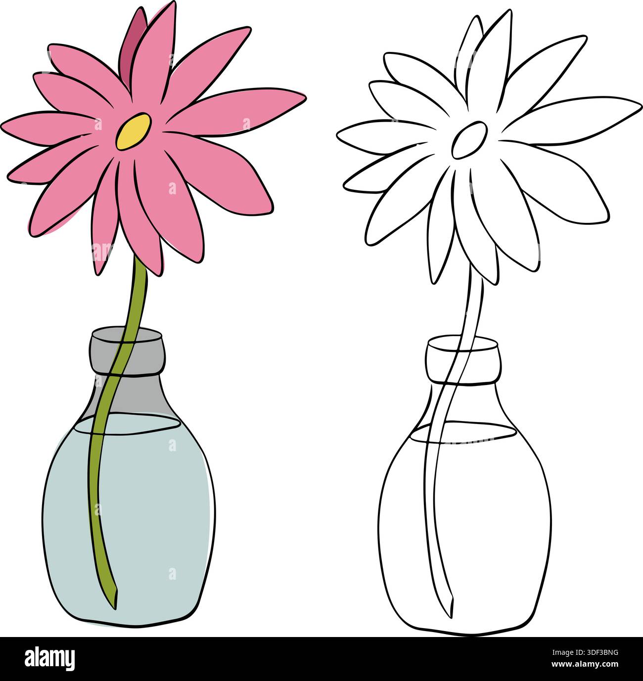 Sonnenblume im Glas mit Wasser isoliert handgezeichnete Illustration. Farbige Grafik mit grafischer Vektorlinie. Verwendung für Kosmetikverpackungen, Einkäufe, Geschäfte, Produkte Stock Vektor