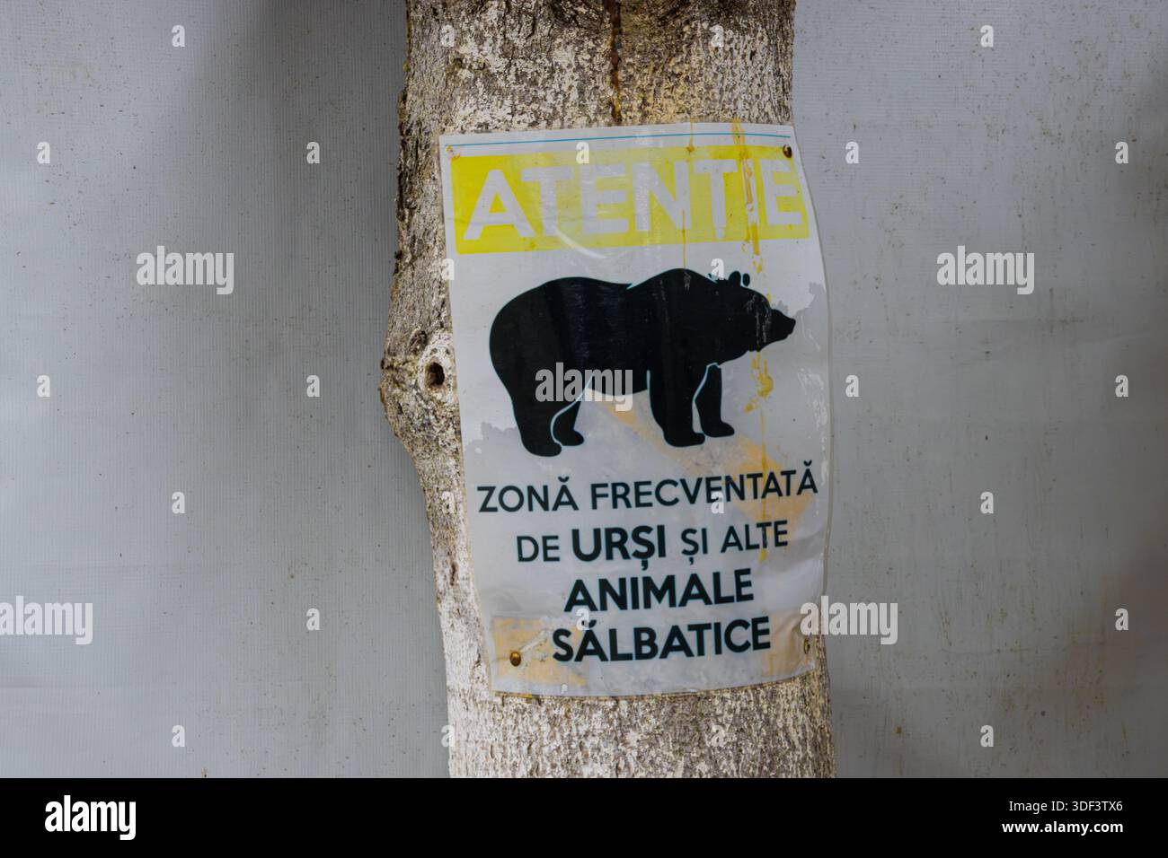 Warnschild auf Rumänisch. Tragen Sie ein Warnschild in Transsilvanien Rumänien Stockfoto