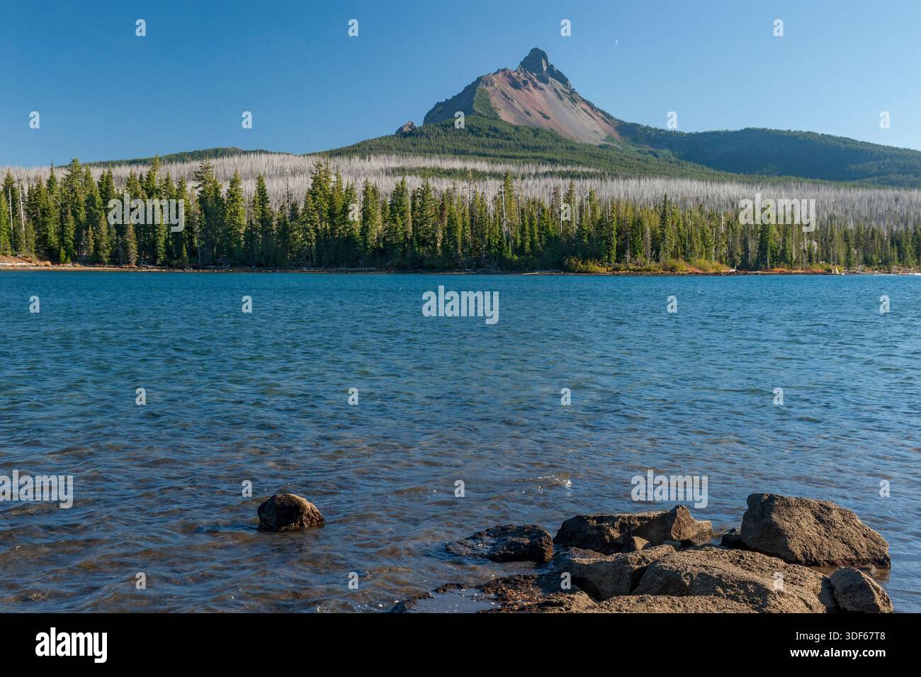 Oregons Mount Washington vom Big Lake auf dem Gipfel von Santiam Stockfoto