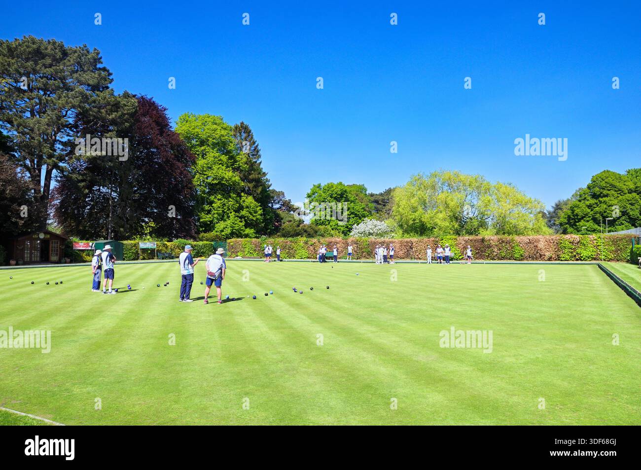 Ältere Männer und Frauen spielen Rasenbowlen auf einem Bowlinggrün im Frühling, Epsom Bowling Club, Surrey, England, Großbritannien. Rasen-Bowlingklubs Stockfoto