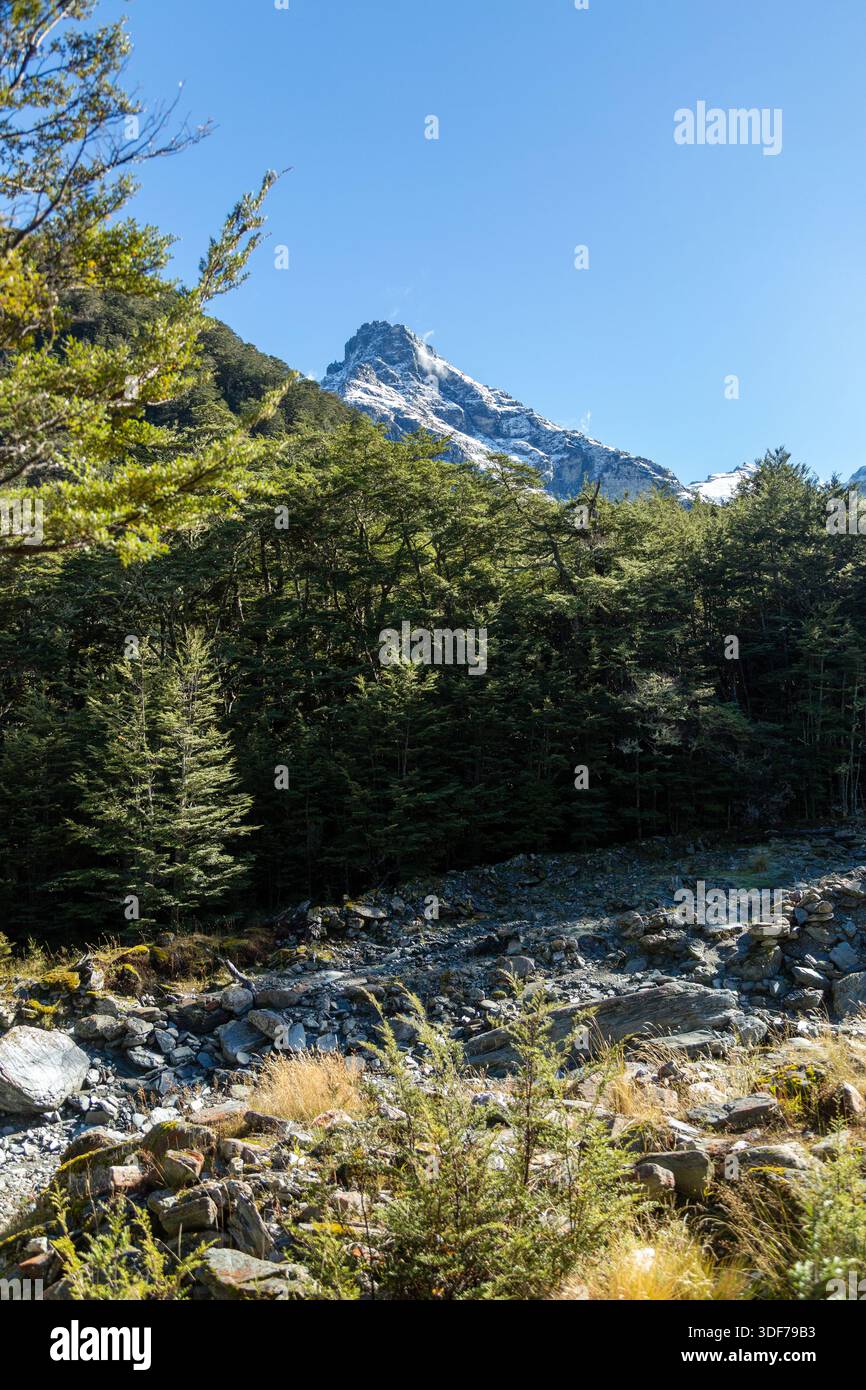 Am Ende des Earnslaw Burn Track zum Mt Earnslaw, Glenorchy, Otago Region, Neuseeland Stockfoto