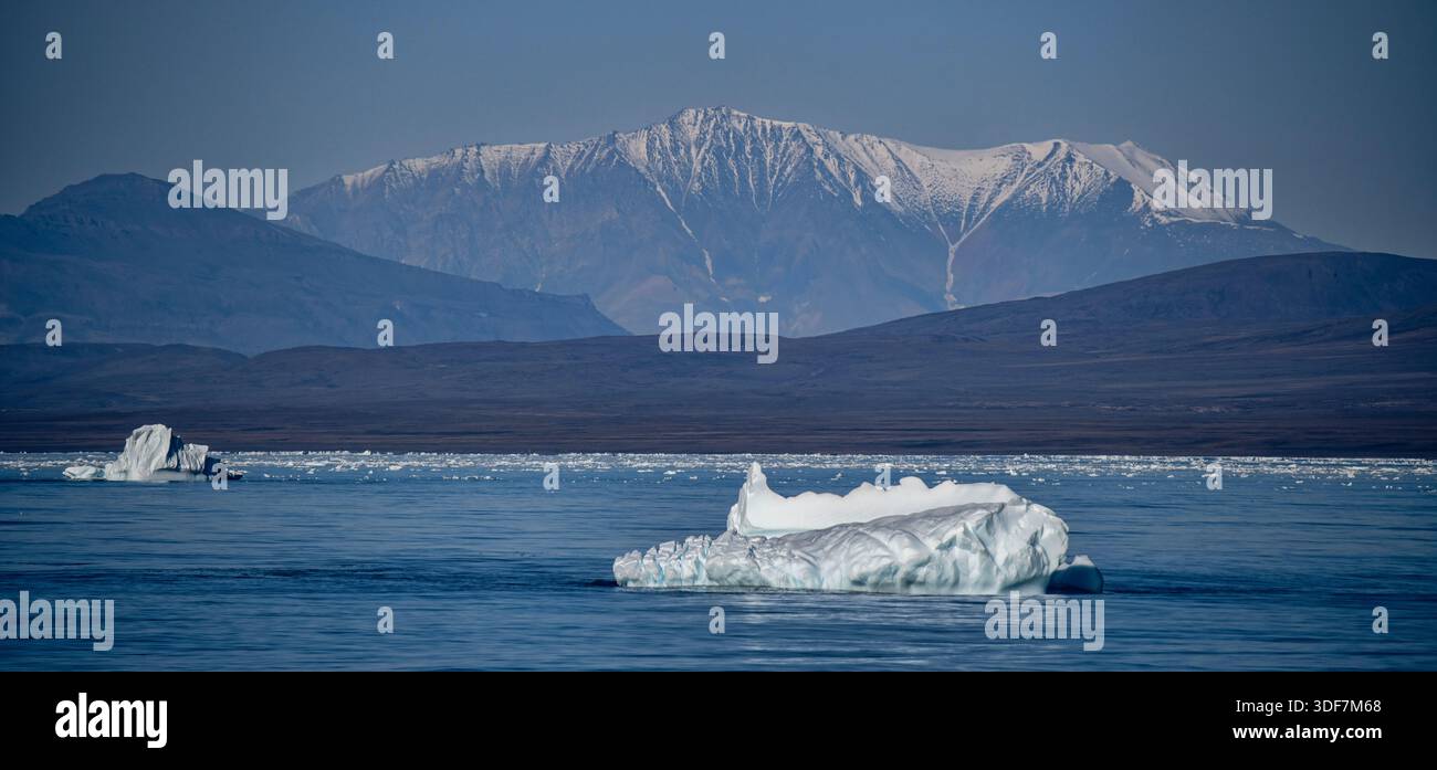 Geformte Eisberge schweben in tiefblauen arktischen Gewässern unter hoch aufragenden Bergen mit sichtbaren geologischen Schichten in der abgelegenen Wildnis Grönlands. Stockfoto