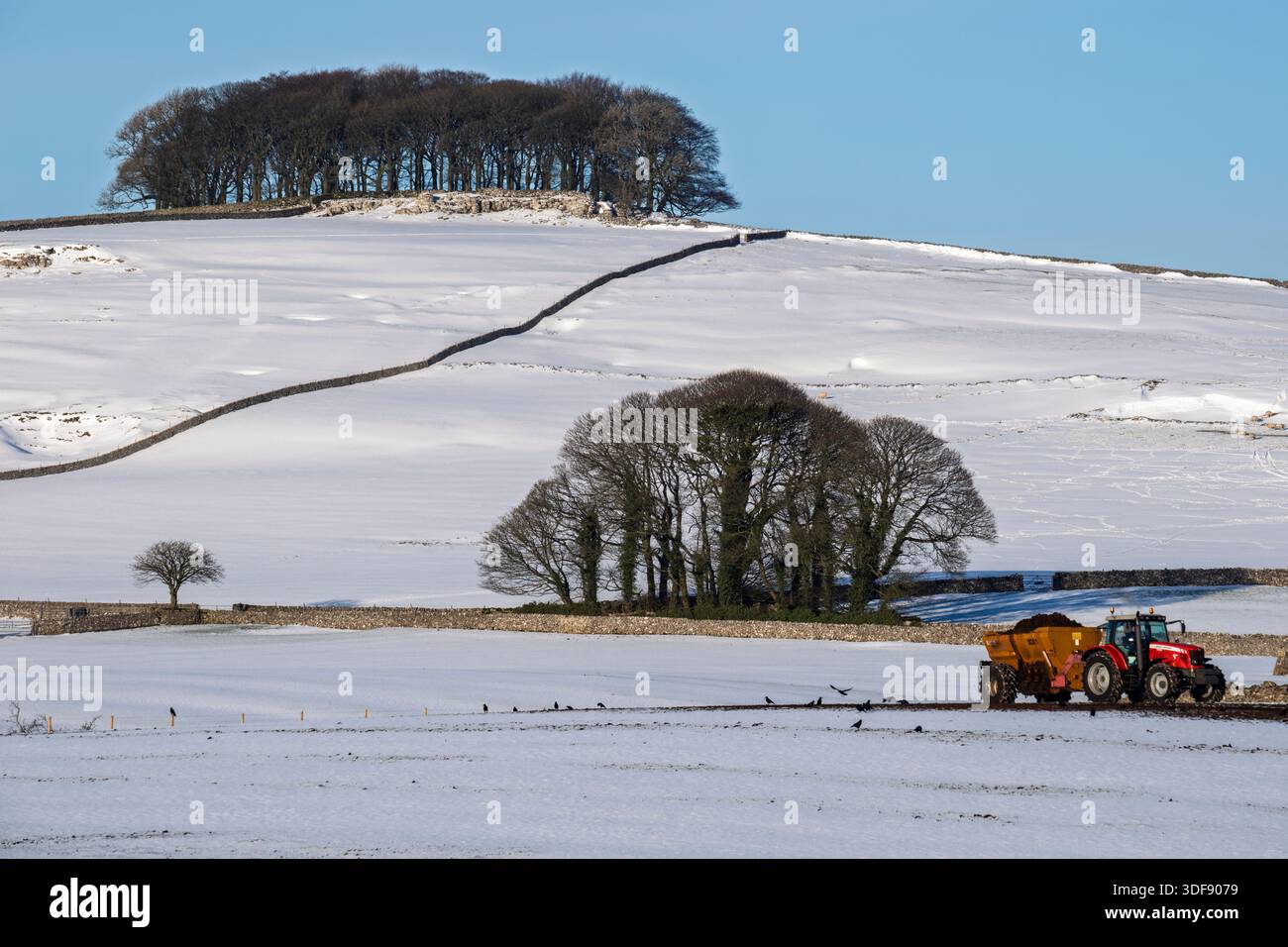 Typische Landschaft des White Peak im Winter vom Tissington Trail in der Nähe von Coldeaton, Peak District National Park, Derbyshire, England Stockfoto