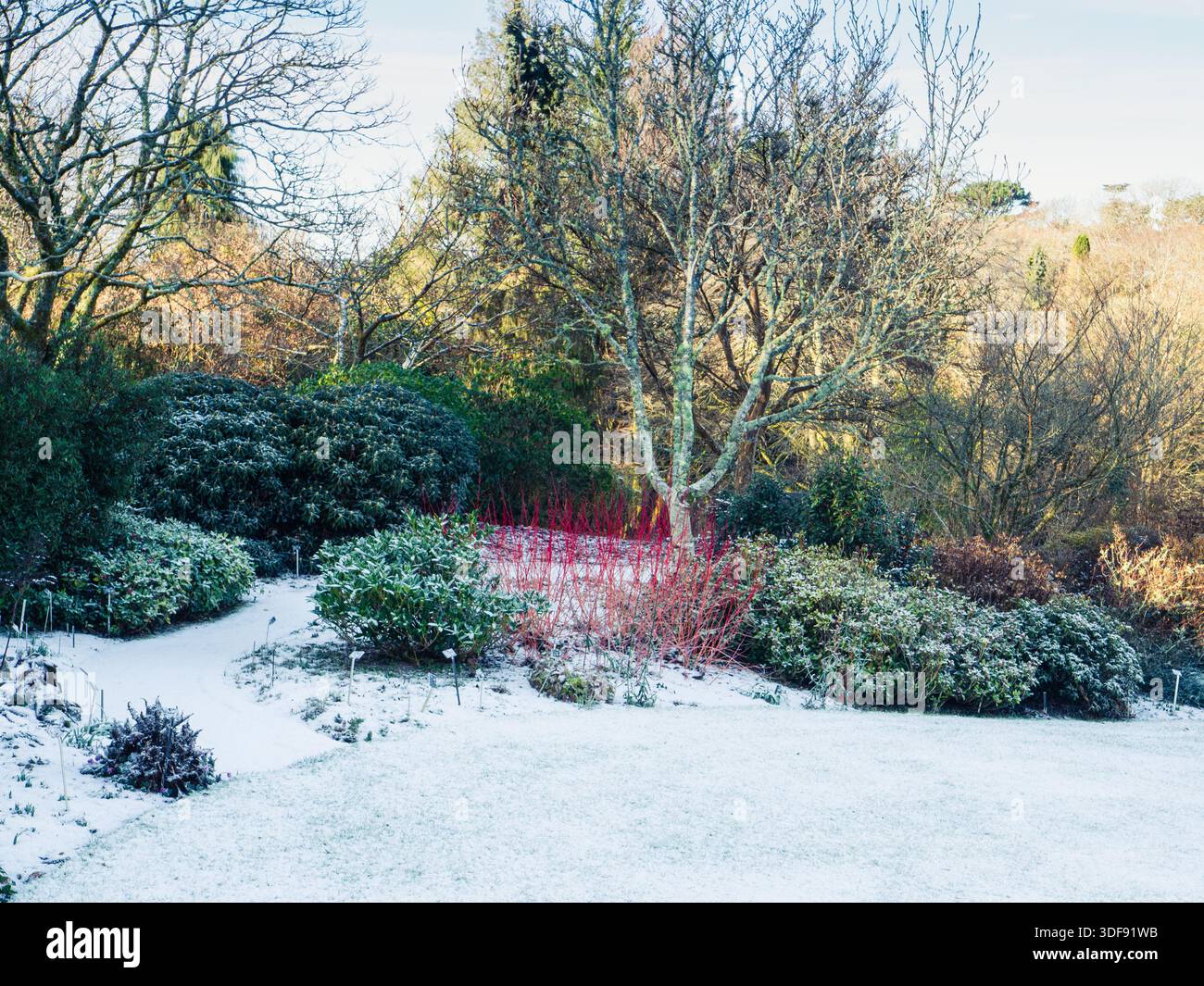 Schnee auf dem Rasen und der Grenze im Garden House, Buckland Monachorum, Devon, Großbritannien Stockfoto