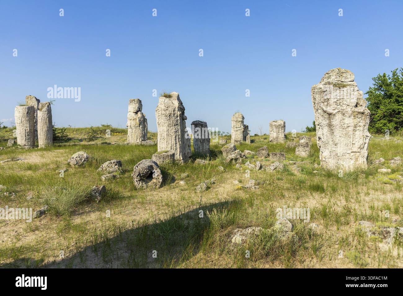 Pobiti Kamani (gepflanzte Steine), auch bekannt als die Steinwüste, ist ein wüstenartiges Gesteinsphänomen im Nordwesten der bulgarischen Provinz Varna Stockfoto
