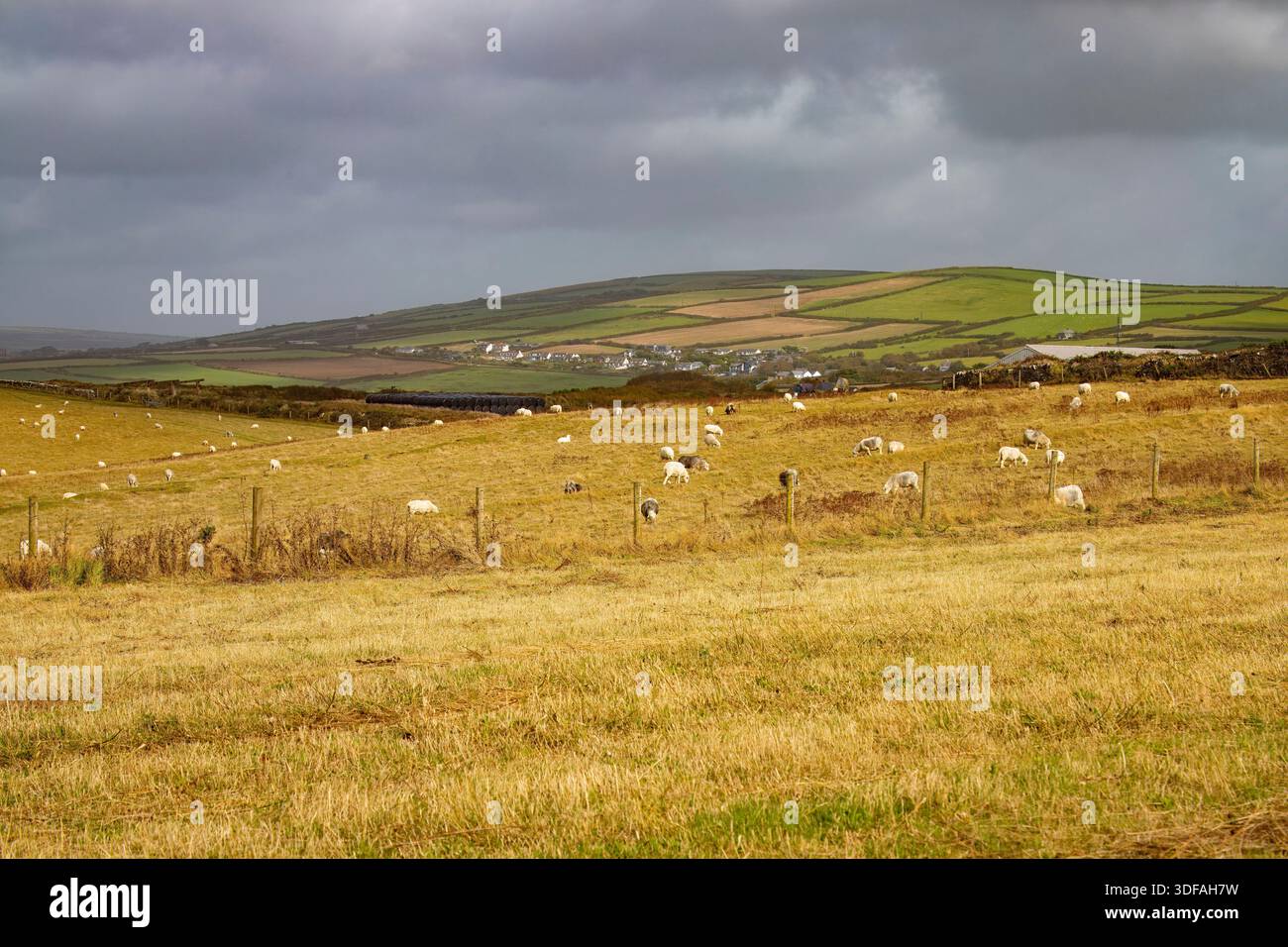 Blick auf die Felder, das Ackerland und die Landschaft von Tintagel, Devon an einem sehr windigen und bewölkten Tag. Stockfoto