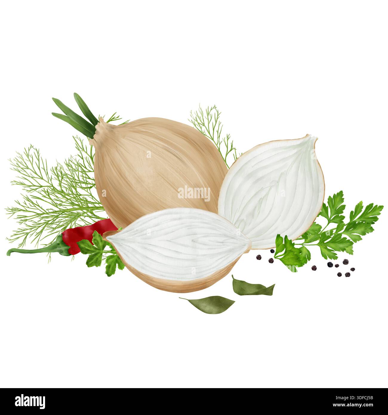 Ganze und halbierte Zwiebeln, Paprika, Petersilie und Dill. Aquarellabbildung. Lorbeerblätter und Knoblauchzehen. Gemüse und Küchenkräuter isoliert Stockfoto