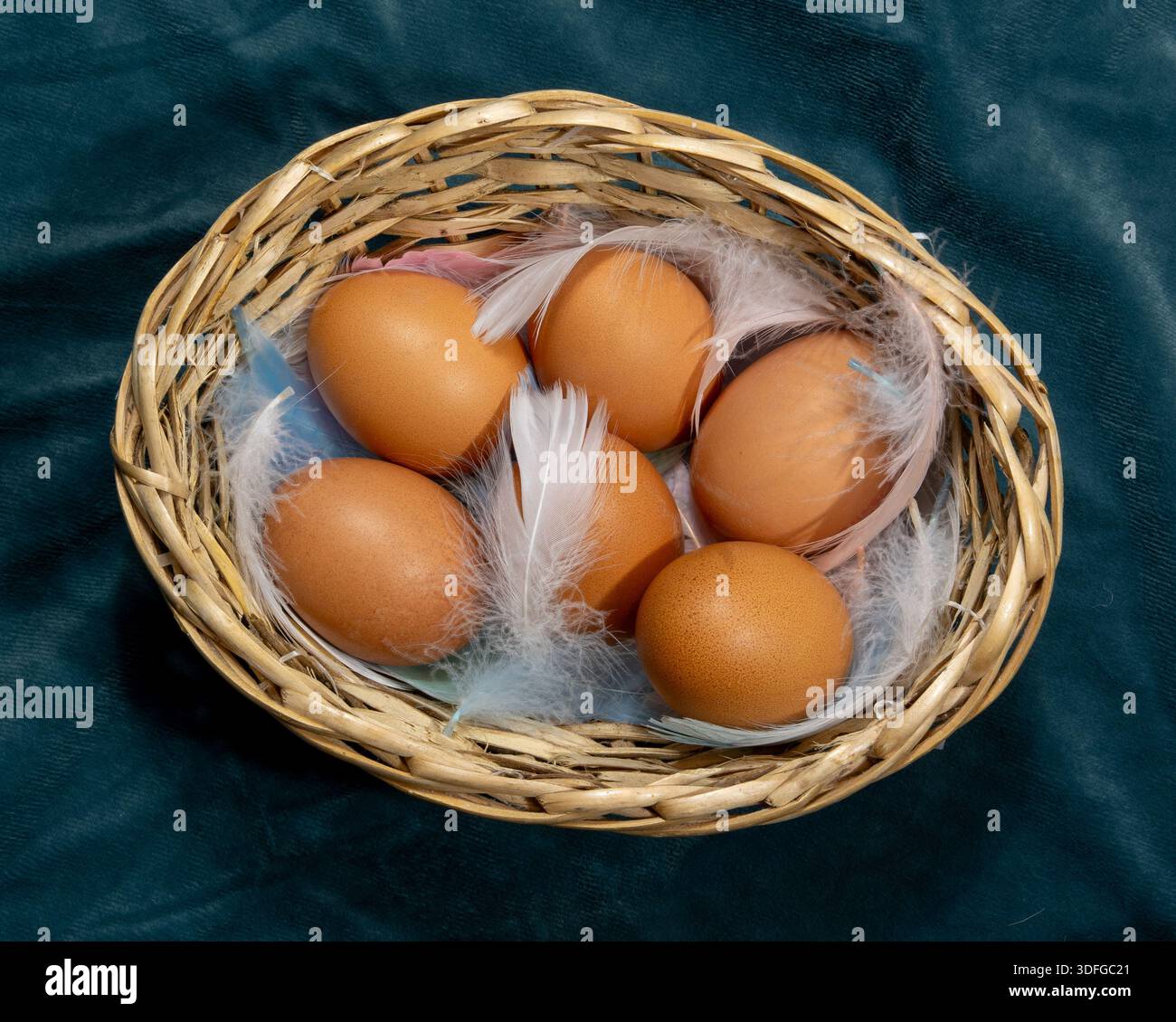 Eiern in einem Korb Stockfoto