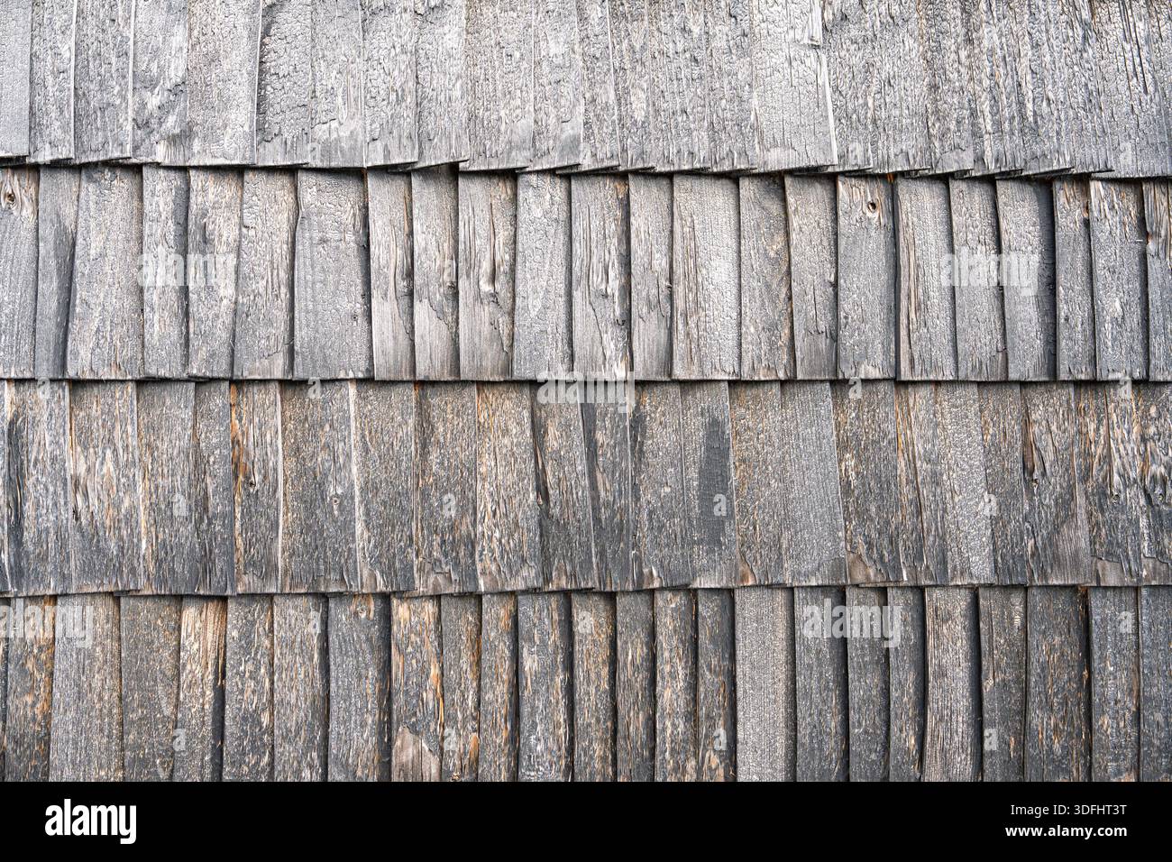 Verwitterte Holzschindeln Eine rustikale Textur für Hintergründe und kreative Projekte Stockfoto