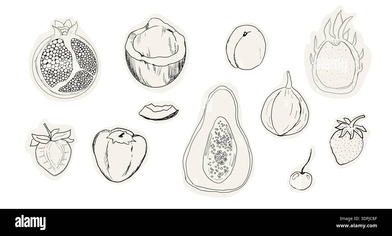 Frucht Doodle Sketch handgezeichnet Set tropische und Gartenfrüchte und Beeren. Dekorative Vektorelemente für Poster, Plakat, Grußkarte, Menü oder Hochzeitseinladung. Vektorabbildung Stock Vektor