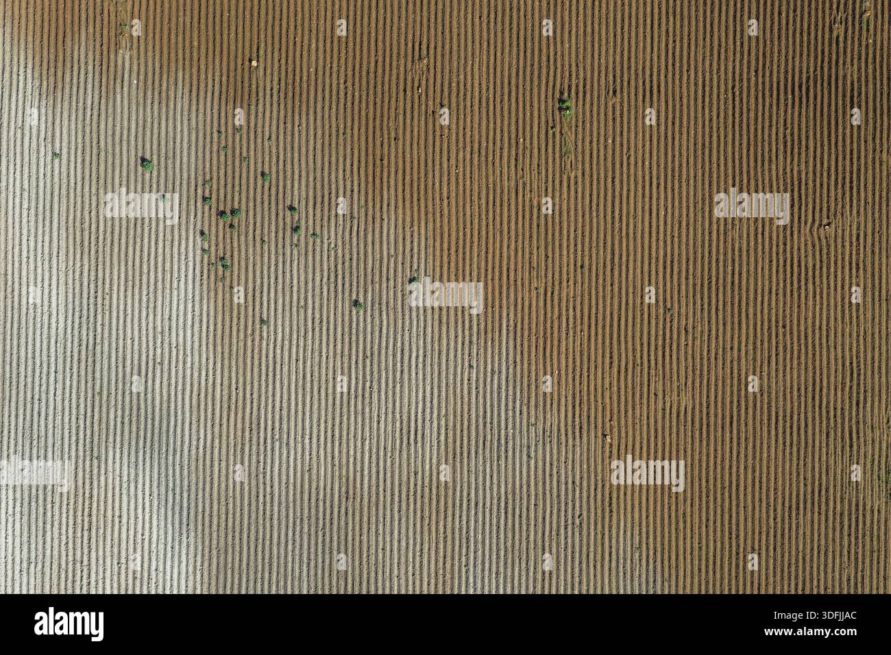 Luftaufnahme eines geometrischen Wandteppichs aus bearbeiteter Erde, in dem lineare Muster durch die subtilen Schatten und verstreuten grünen Flecken, Tonnara di, weicher werden Stockfoto