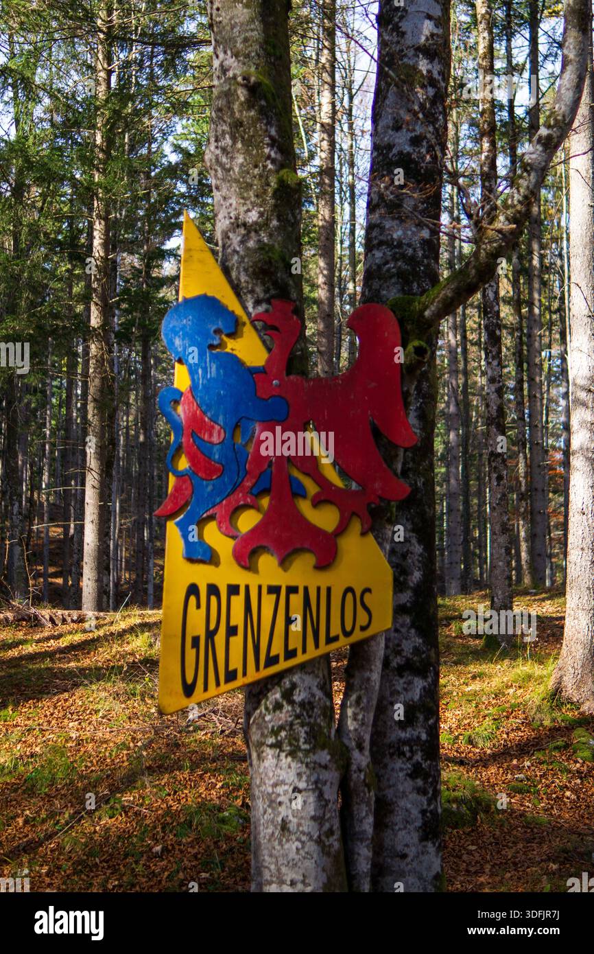 Ein gemaltes Holzschild mit einem bunten Emblem und dem Wort grenzenlos, das an einem Baum in einem sonnendurchfluteten Wald angebracht ist. Stockfoto