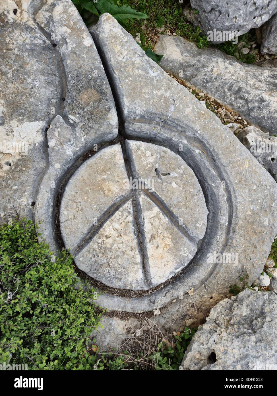 Alte römische Steinölpresse: Archäologische Ruine eines kreisförmigen Kalksteinmühle, der in der Antike für die Herstellung von Olivenöl oder Wein verwendet wurde Stockfoto
