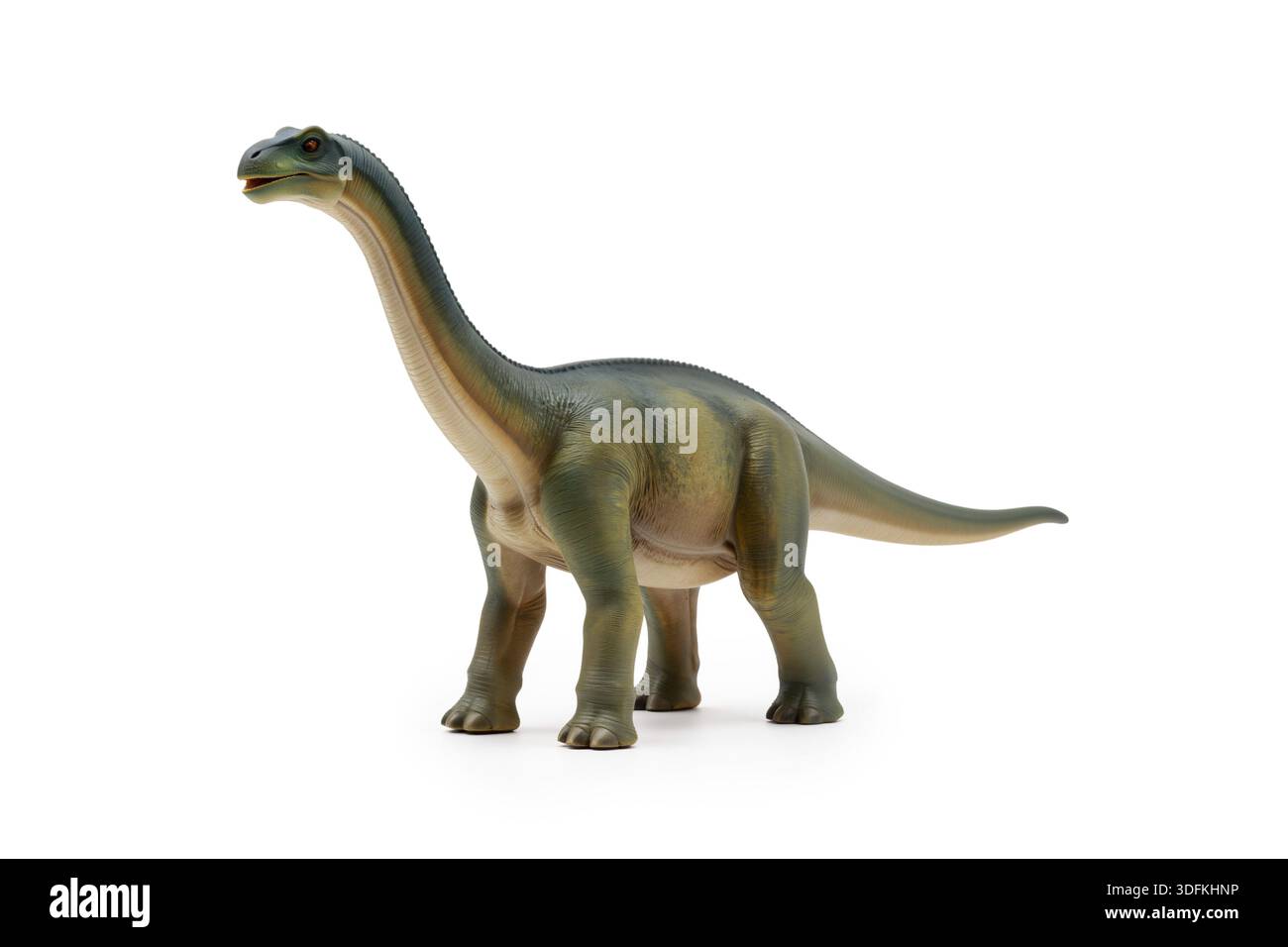 Majestätischer Brachiosaurus auf weißem Hintergrund mit realistischen Hautstrukturen und langem Hals des Pflanzenfressers. Stockfoto