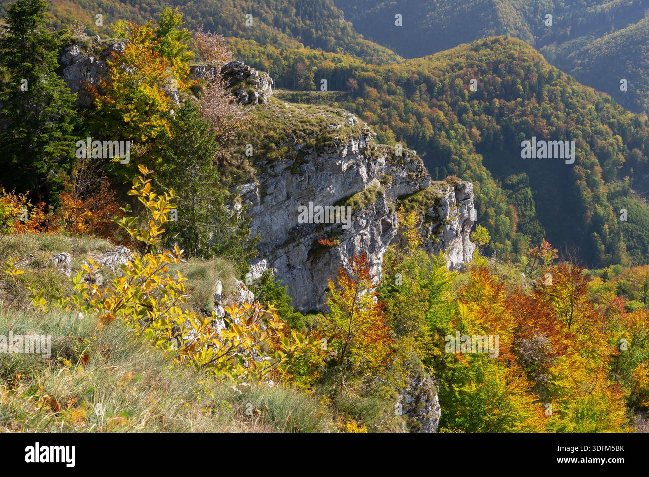Der Blick auf die zerklüfteten Klippen erhebt sich inmitten eines Wandteppichs aus Herbstfarben, wo goldene und grüne Bäume auf den grauen Stein in Velka Fatra, Banskobystricky, treffen Stockfoto