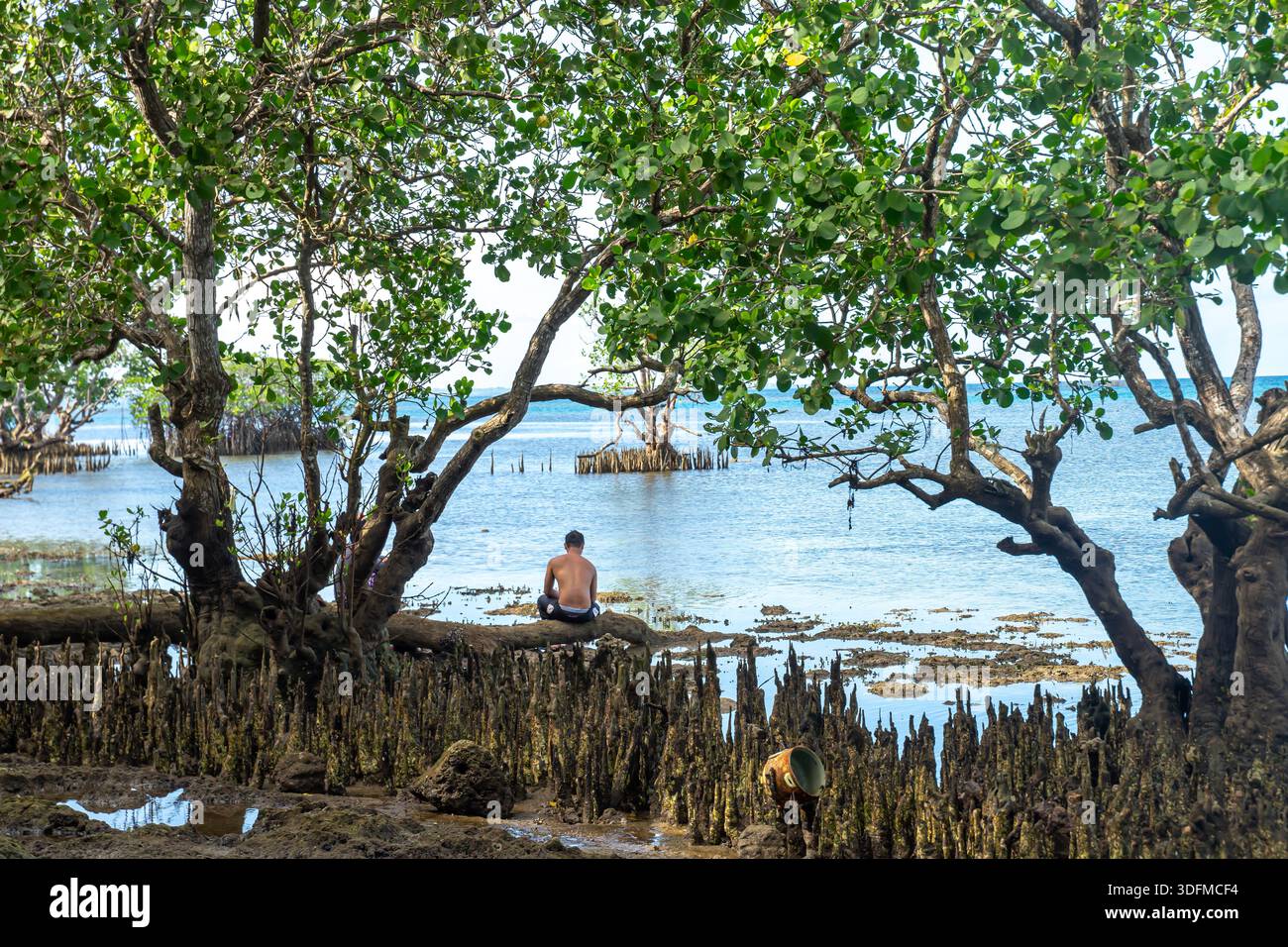 Mann, der auf der Wurzel eines Mangrovenbaums sitzt, am Ufer bei Tagbilaran, Bohol, Philippinen Stockfoto