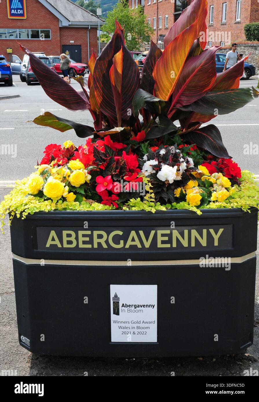 Blumenausstellung, Abergavenny. Stockfoto