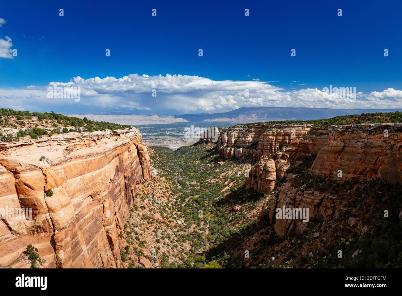 Red Rock Canyon im Colorado National Monument Stockfoto