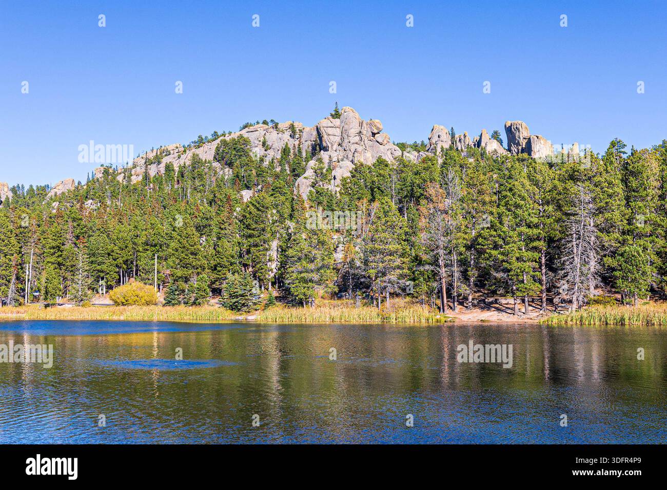 Wunderschöne Landschaft rund um Sylvan Lake im Custer State Park in South Dakota. Stockfoto