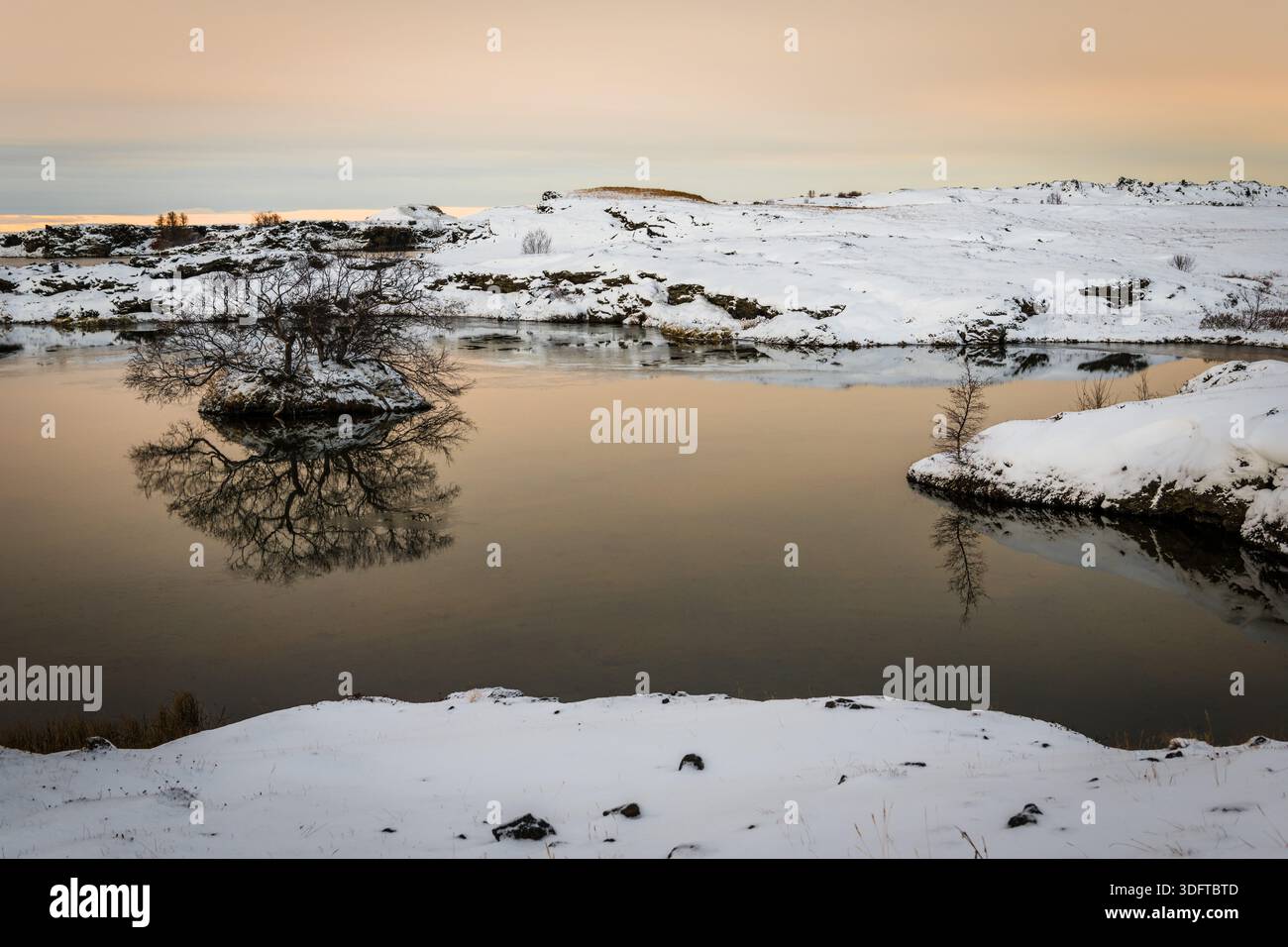 Blick auf eine ruhige, schneebedeckte Landschaft mit einer kleinen Insel, die sich im ruhigen Wasser unter einem weichen, leuchtenden Himmel spiegelt, Rejkjahlid, Nordisland, Island Stockfoto