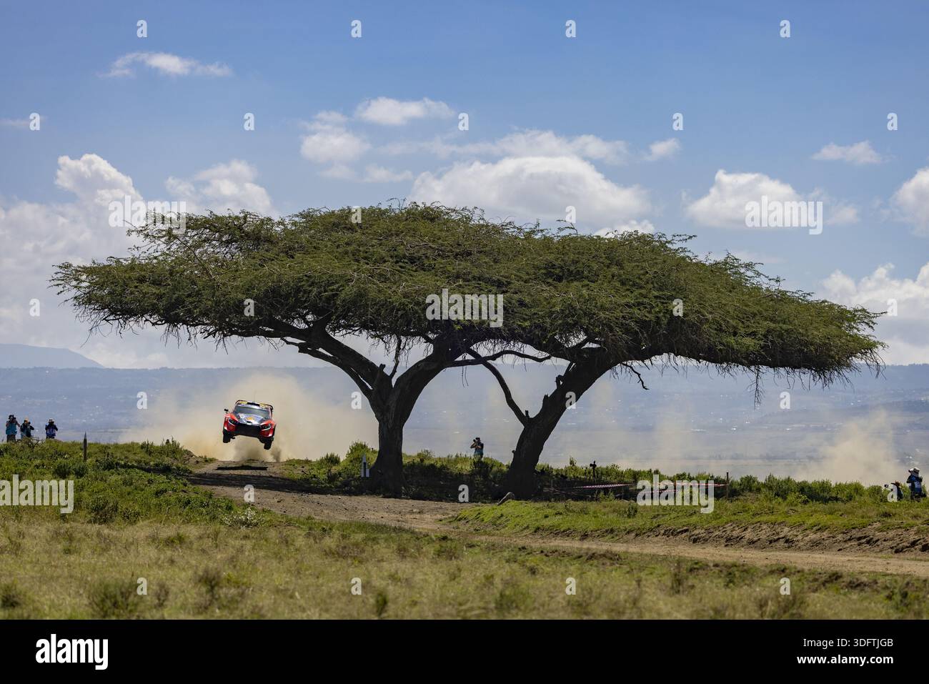 Naivasha, Kenia - 29. März 2024: Blick auf ein Rallyefahrzeug, das in der Nähe des Naivasha-Sees durch die Luft fliegt, eingerahmt von der legendären Silhouette eines Akazienbaums aga Stockfoto