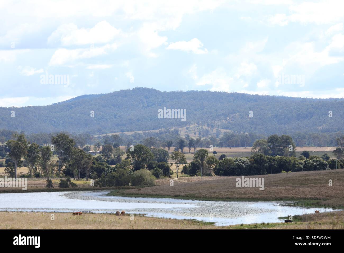 Ländliche Landschaft mit einem großen Damm im Vordergrund und der Teviot Range, die sich in der Ferne erhebt und das ruhige und ländliche australische Leben einfängt Stockfoto