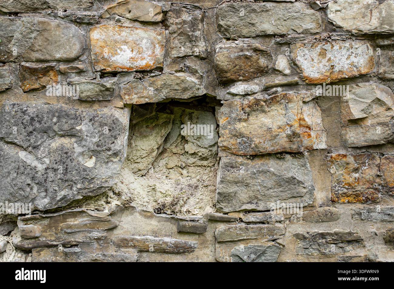 Alte verwitterte Steinmauer mit Pflanzen und Moos, abstrakt Stockfoto