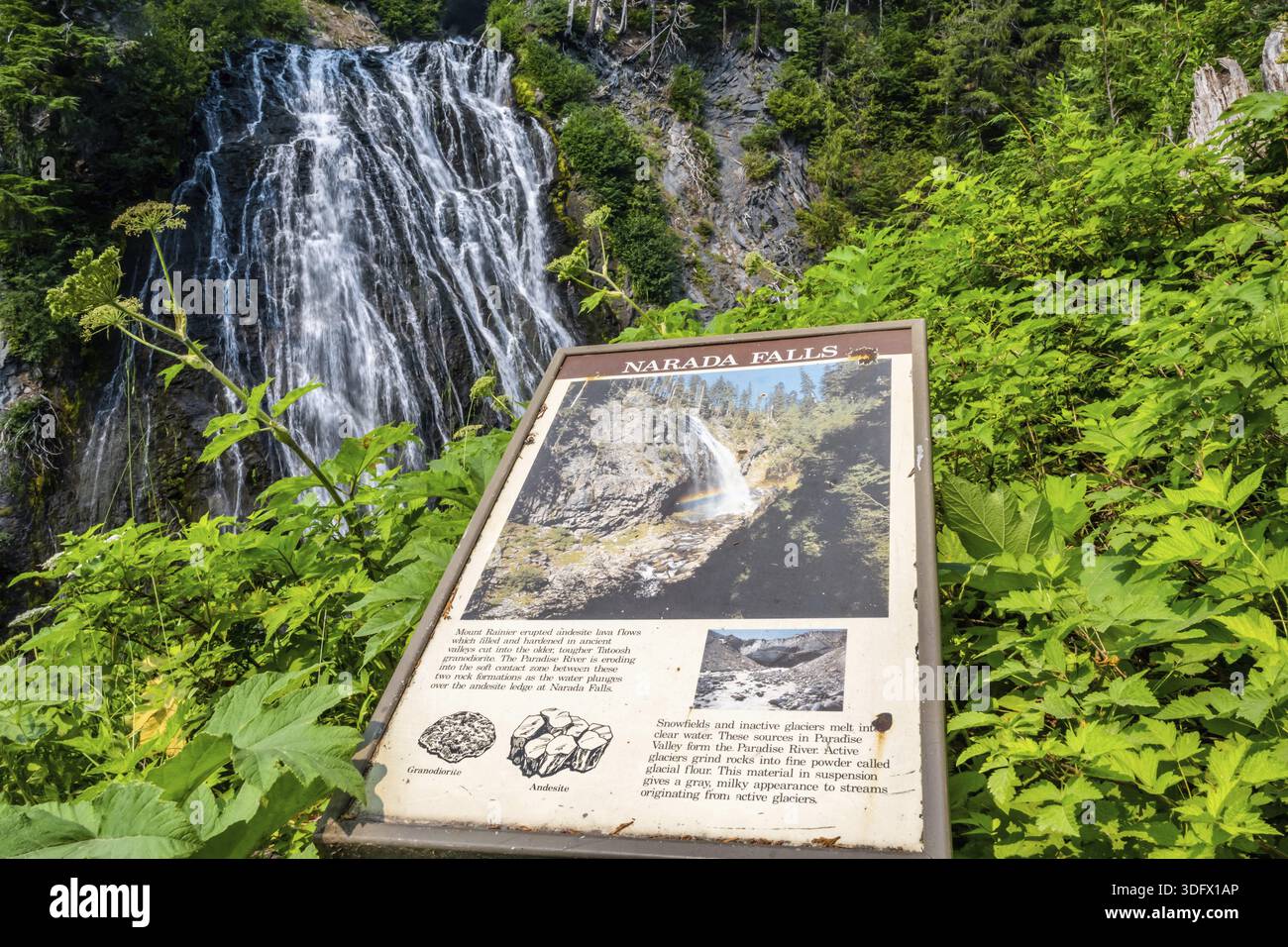Mt Rainer NP, WA, USA - 14. August 2021: Die Narada Falls Stockfoto
