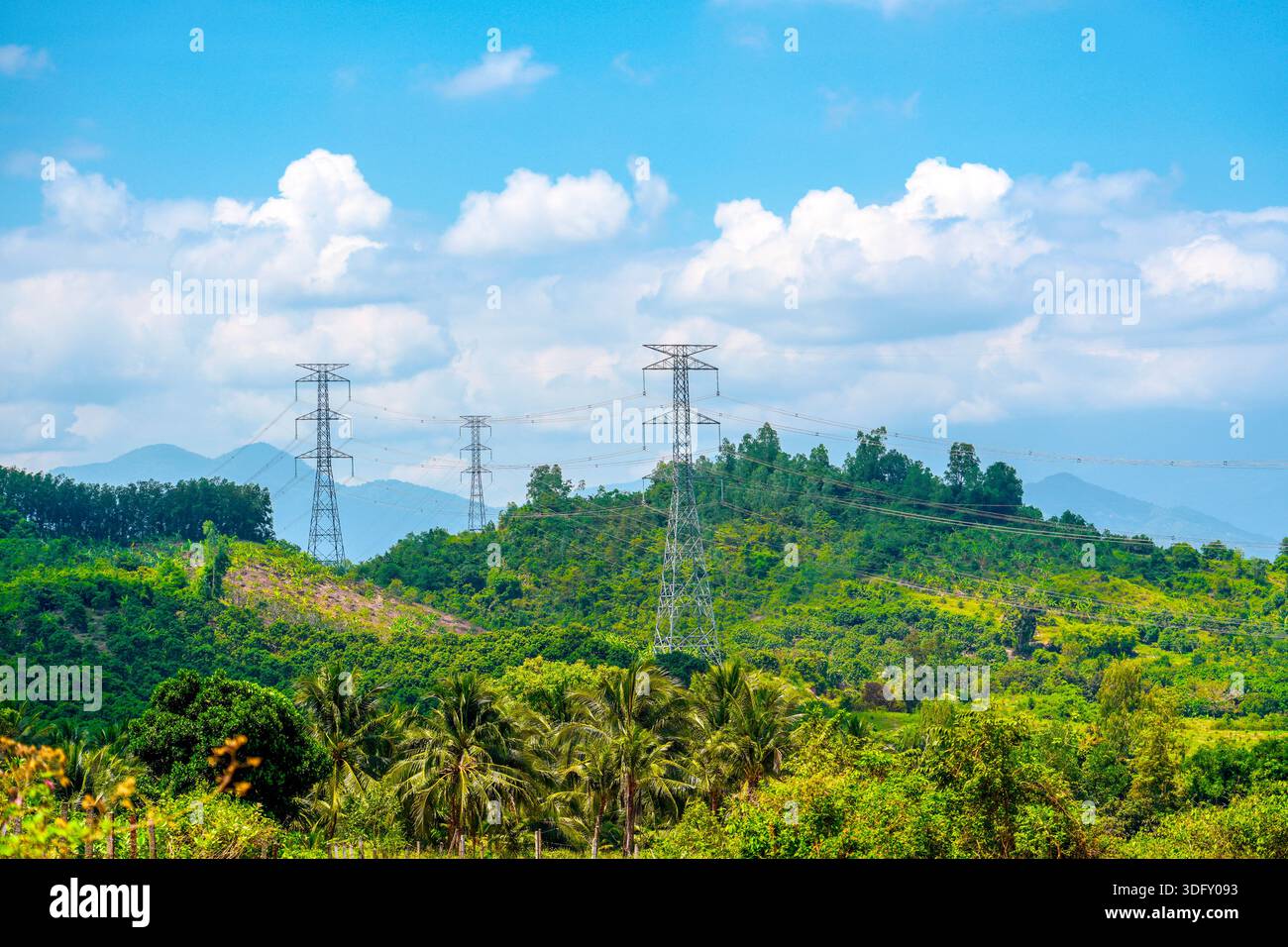 Stromleitungen und Leitungen mit Stützen, die zwischen tropischen Wäldern verlegt sind. Stockfoto