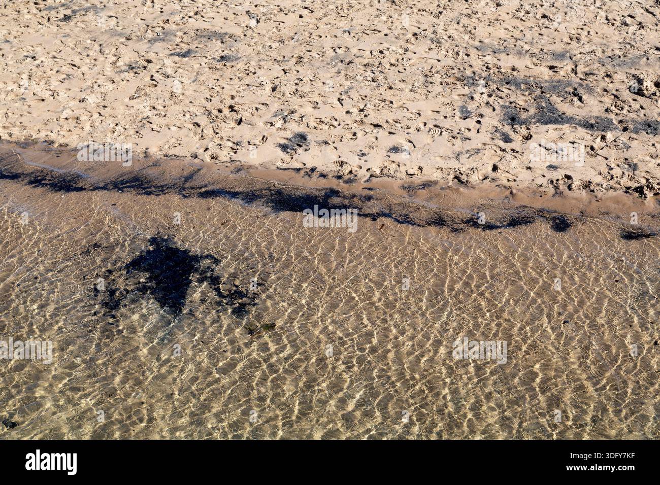 Kohlestaub auf dem goldenen Sand am Strand von Little Shore in Amble, Northumberland, England. Stockfoto