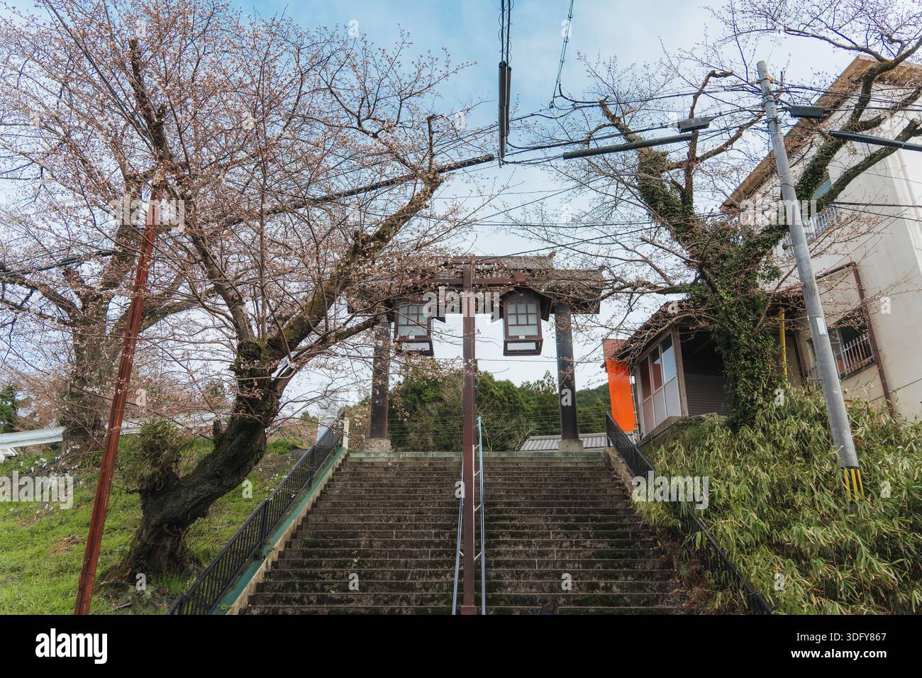 Traditionelles Tor zum Schrein, Laterne mit Sakura-Bäumen und Steintreppe in Japan Stockfoto