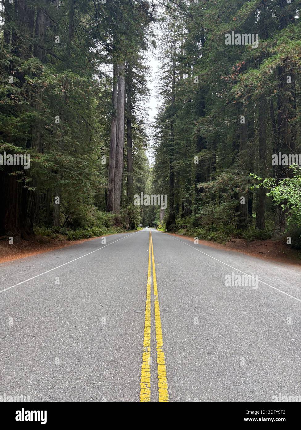 Genießen Sie weniger befahrene Straßen. Genießen Sie die Blacktop und den Schotter. - Smartphone-aufgenommenes Stockfoto