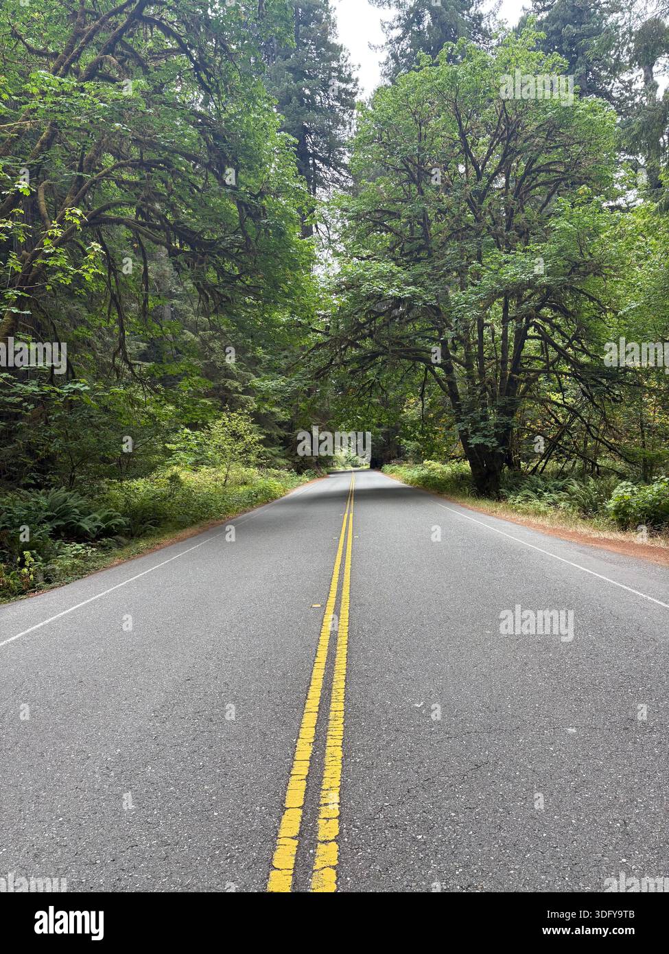 Genießen Sie weniger befahrene Straßen. Genießen Sie die Blacktop und den Schotter. - Smartphone-aufgenommenes Stockfoto