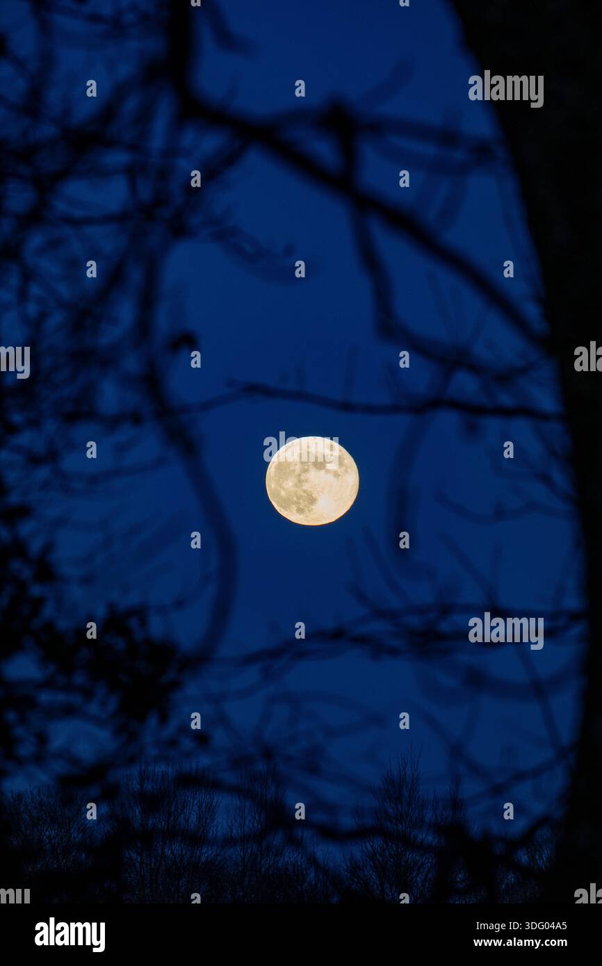 Vollmond Stockfoto