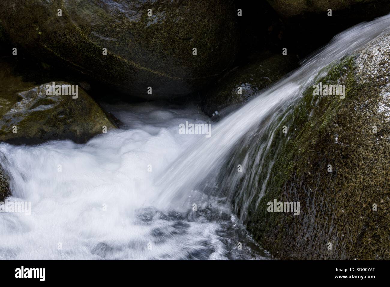Ein kleiner natürlicher Wasserfall kaskadiert zwischen moosigen Flusssteinen und erzeugt weißen Schaum und ein Gefühl der Bewegung. Perfekt für Natur- und Wellness-Themen. Stockfoto