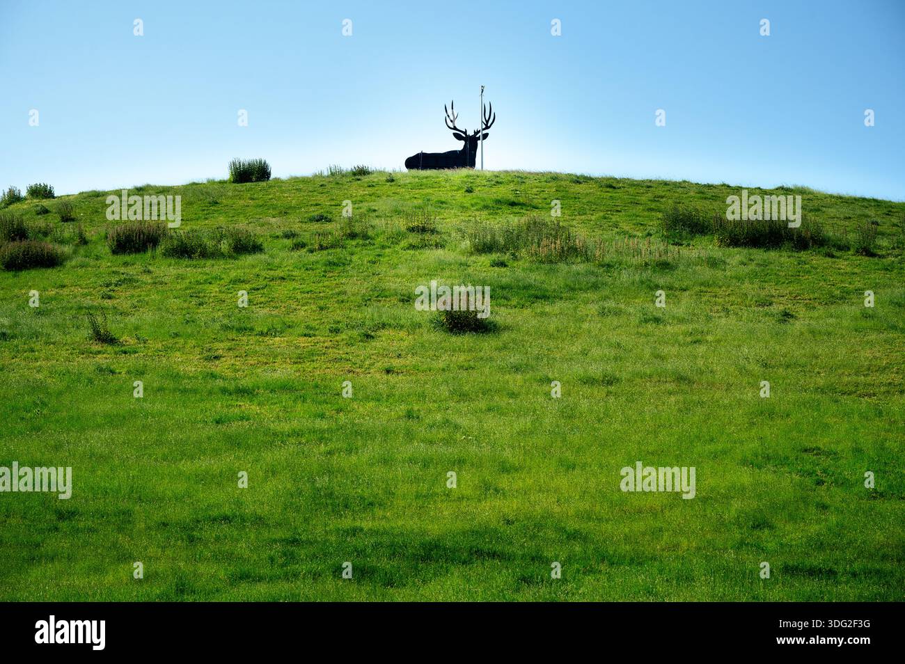 Der 8 m hohe Rijnhert in Arnheim ist der größte Hirsch der Veluwe. Dieses 1,5 Tonnen schwere Wahrzeichen aus Stahl verbindet die Kultur der Stadt mit der lokalen Natur. Stockfoto