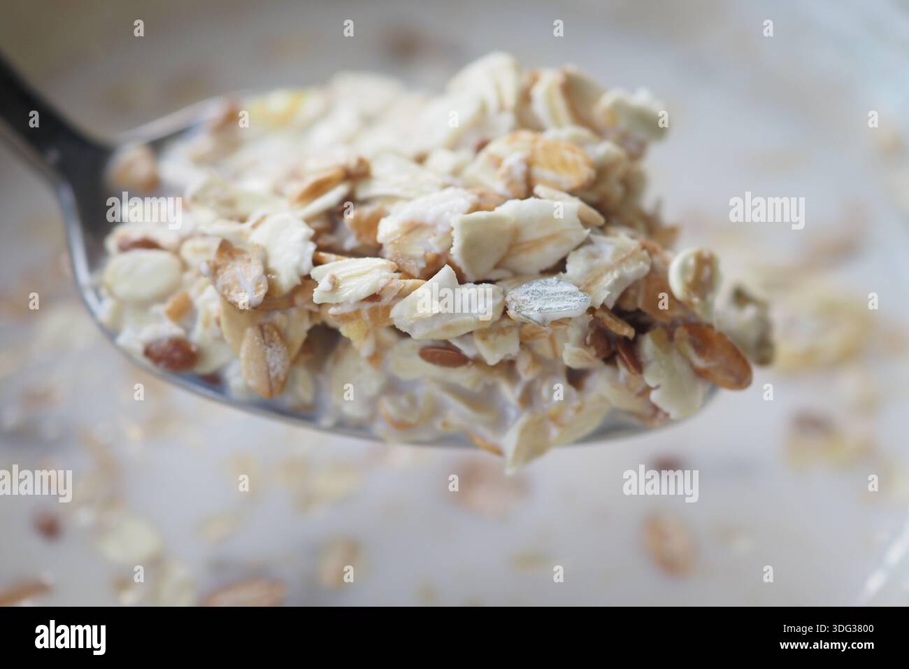 Hafer auf Löffel über einer Schüssel Milch zum Frühstück Stockfoto