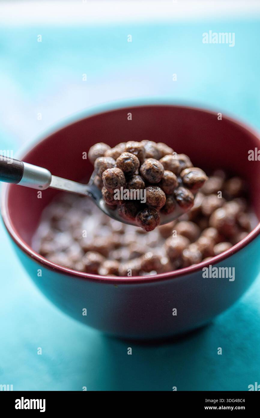 Nahaufnahme von knusprigem Schokoladen-Cornflakes-Müsli mit frischer weißer Milch in einer Schüssel Stockfoto
