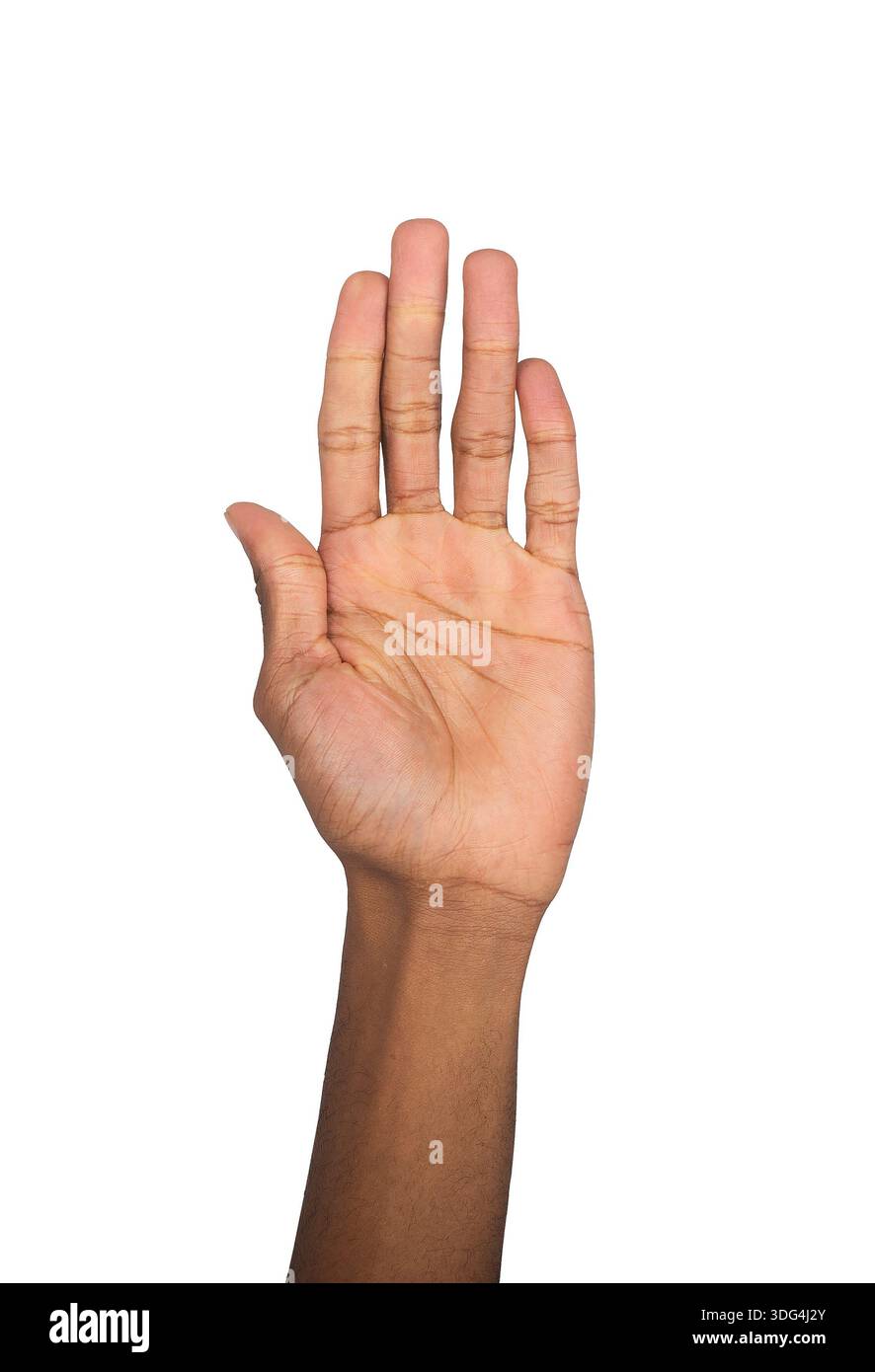 Mann, hand, Geste, Welle, schneiden Outs, Mannes Hand, Finger, Hand  Abbildung, Körpersprache, Gestik, Gruß, Verteidigung, aufhören, aufhören,  stoppen, verhaften, verweigern, Grüße, Angabe Menge, Menge, fünf, zeigen  Stockfotografie